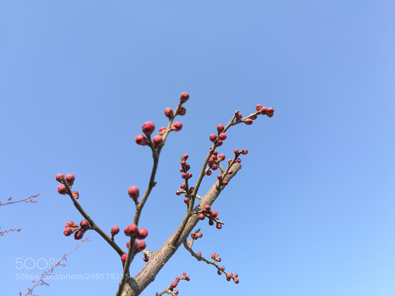 HUAWEI Honor 8 sample photo. Untitled photography