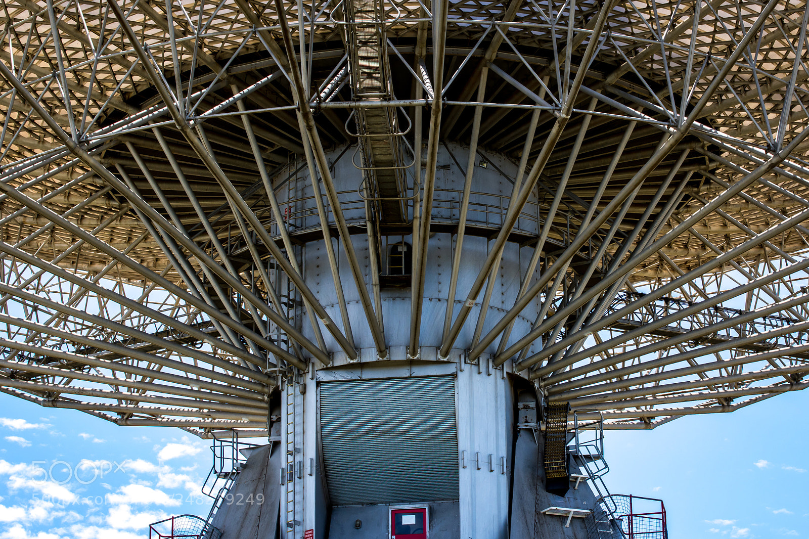 Nikon D7200 sample photo. Dish stem photography