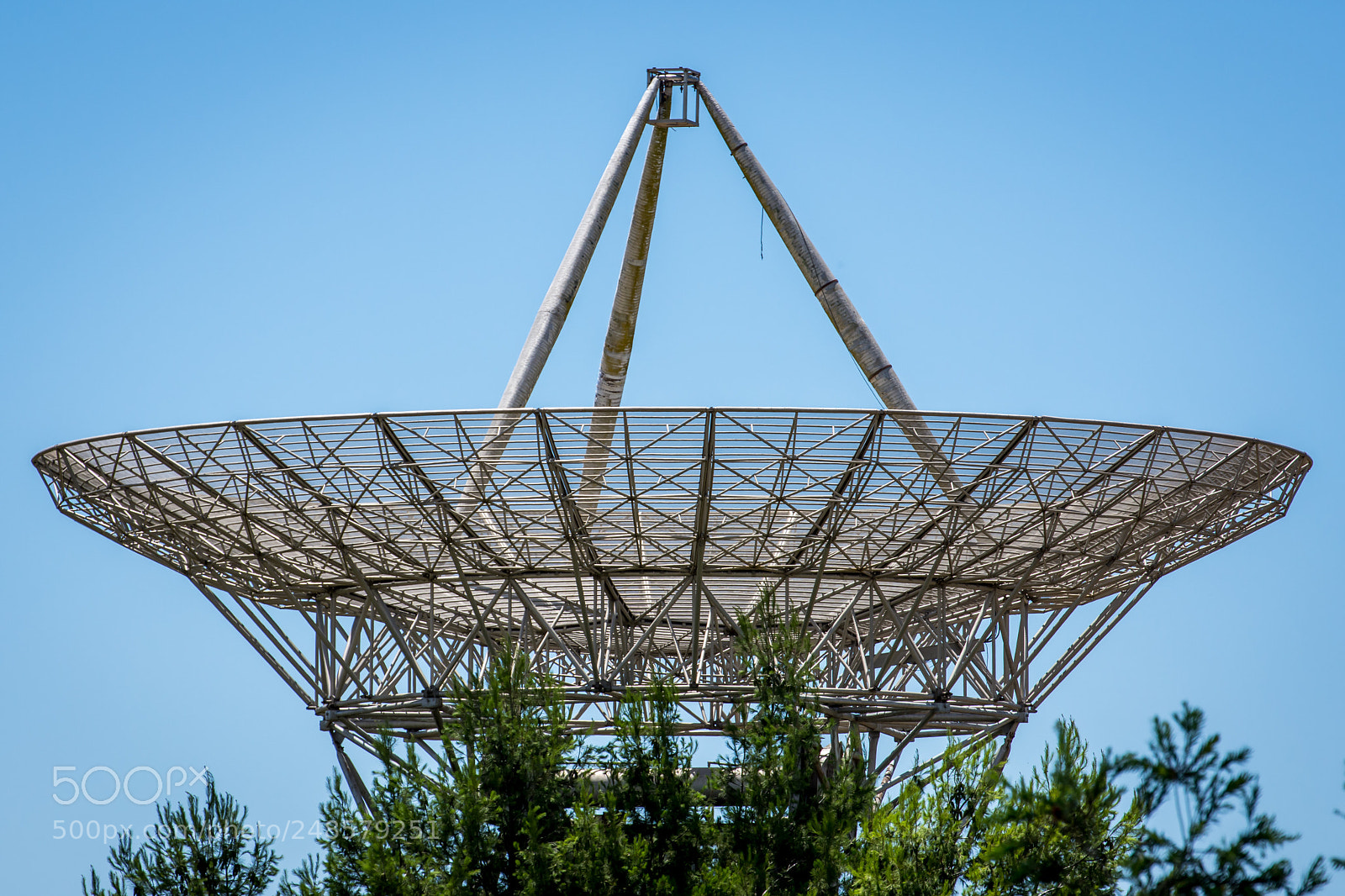 Nikon D7200 sample photo. Minor dish photography