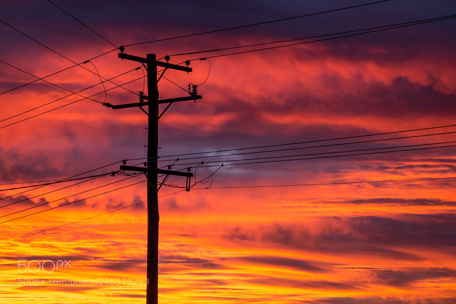 Nikon D7200 sample photo. Any more orange? photography