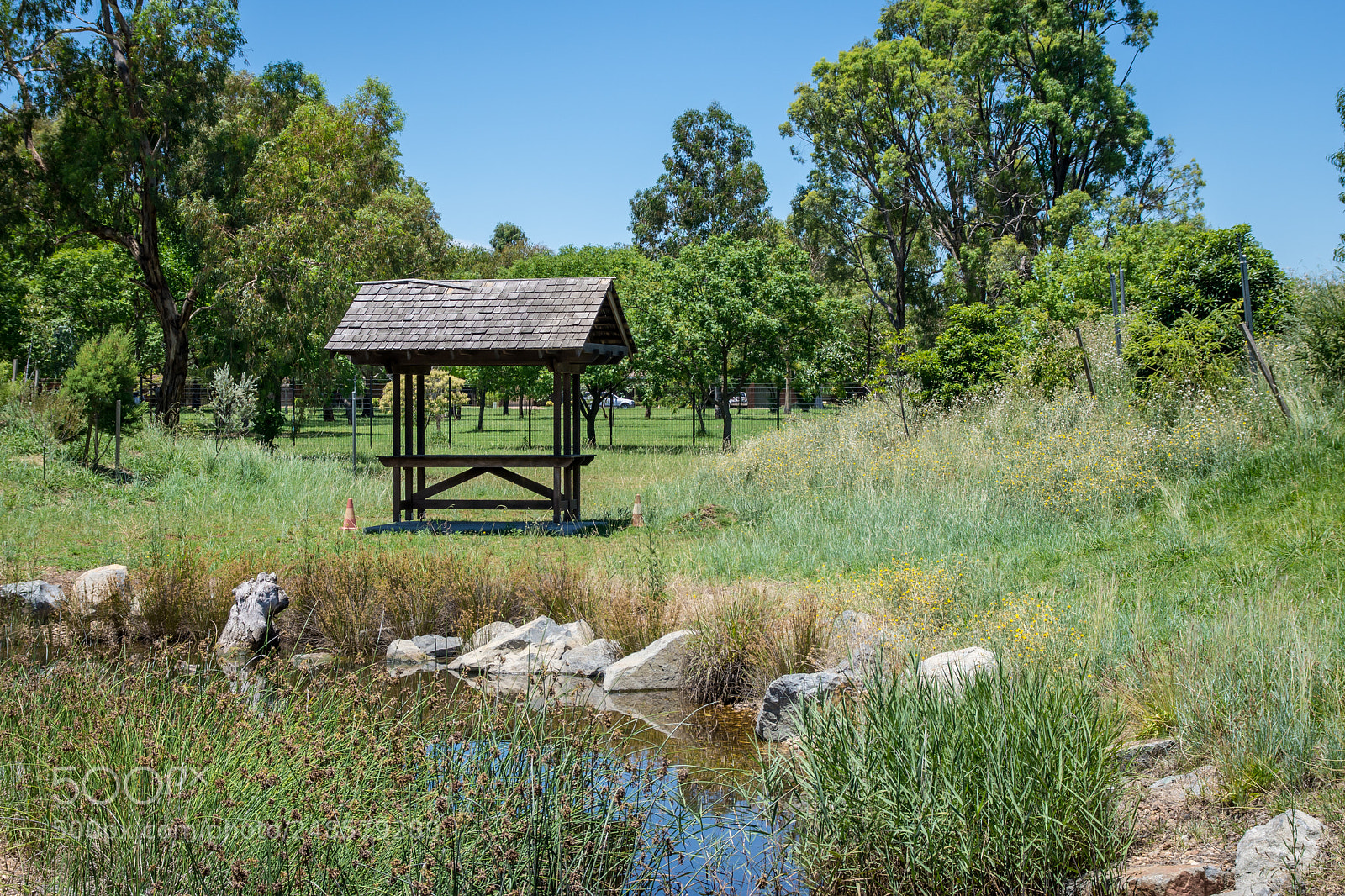 Nikon D7200 sample photo. Escape from the heat photography