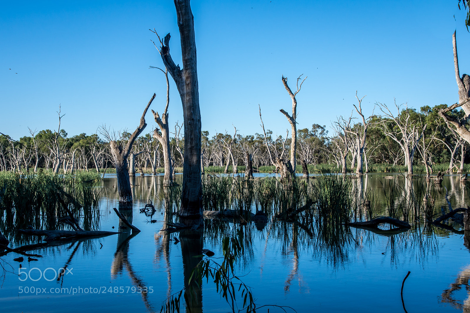 Nikon D7200 sample photo. Blue pond photography