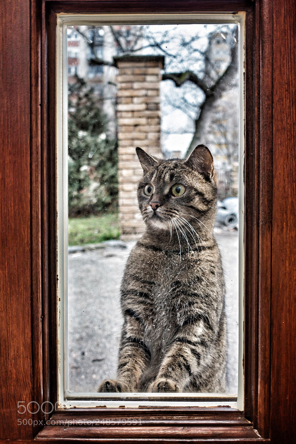 Sony Cyber-shot DSC-RX100 IV sample photo. Face photography