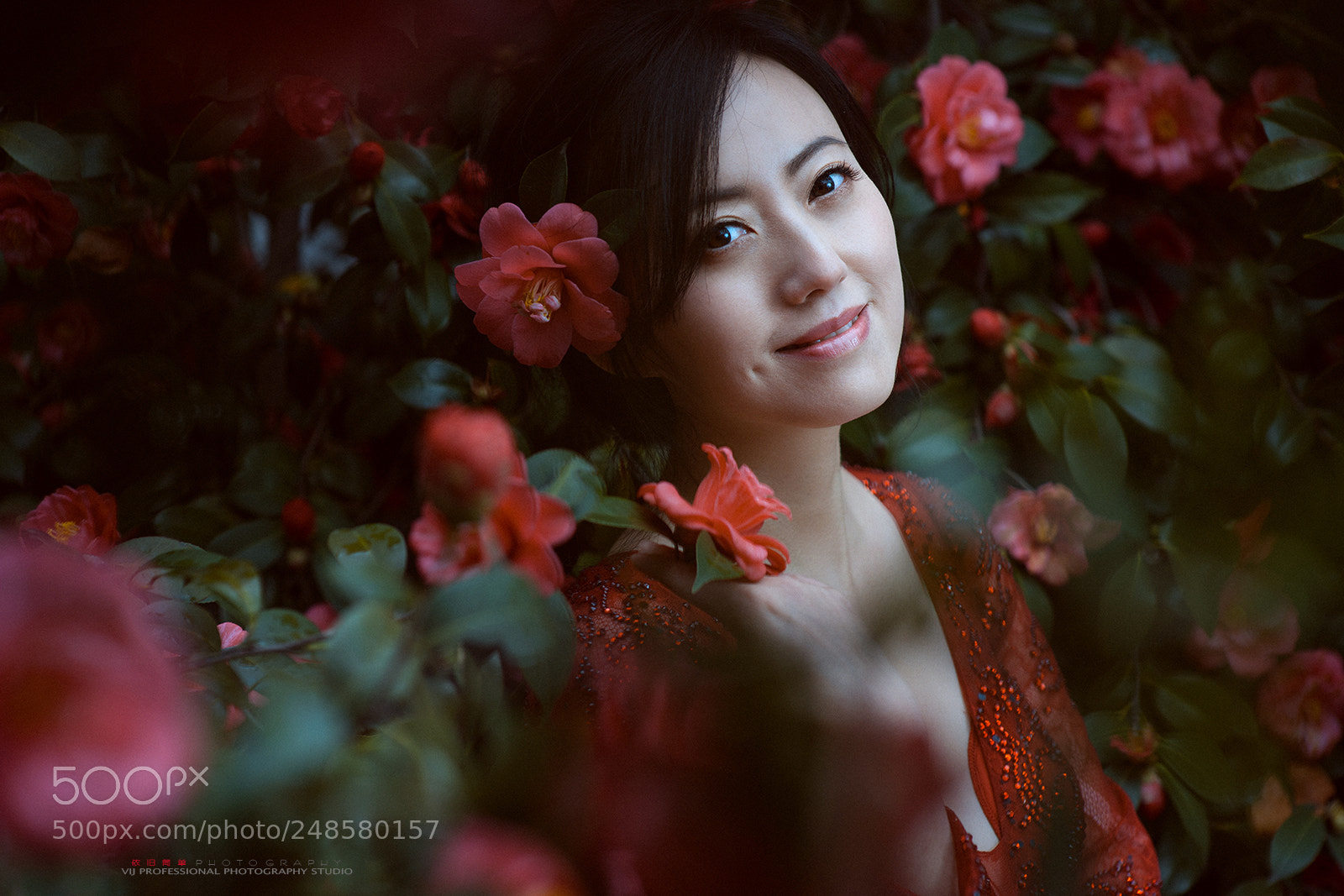 Nikon D3X sample photo. Flower photography