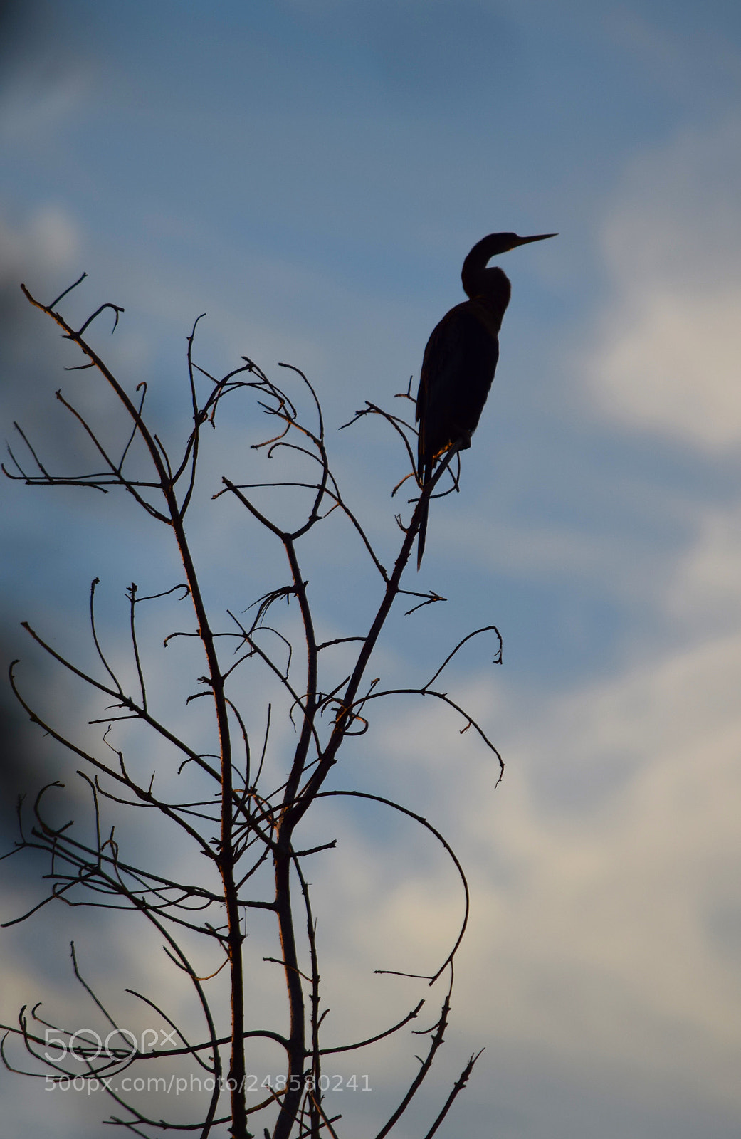 Nikon D5300 sample photo. Vantage point photography