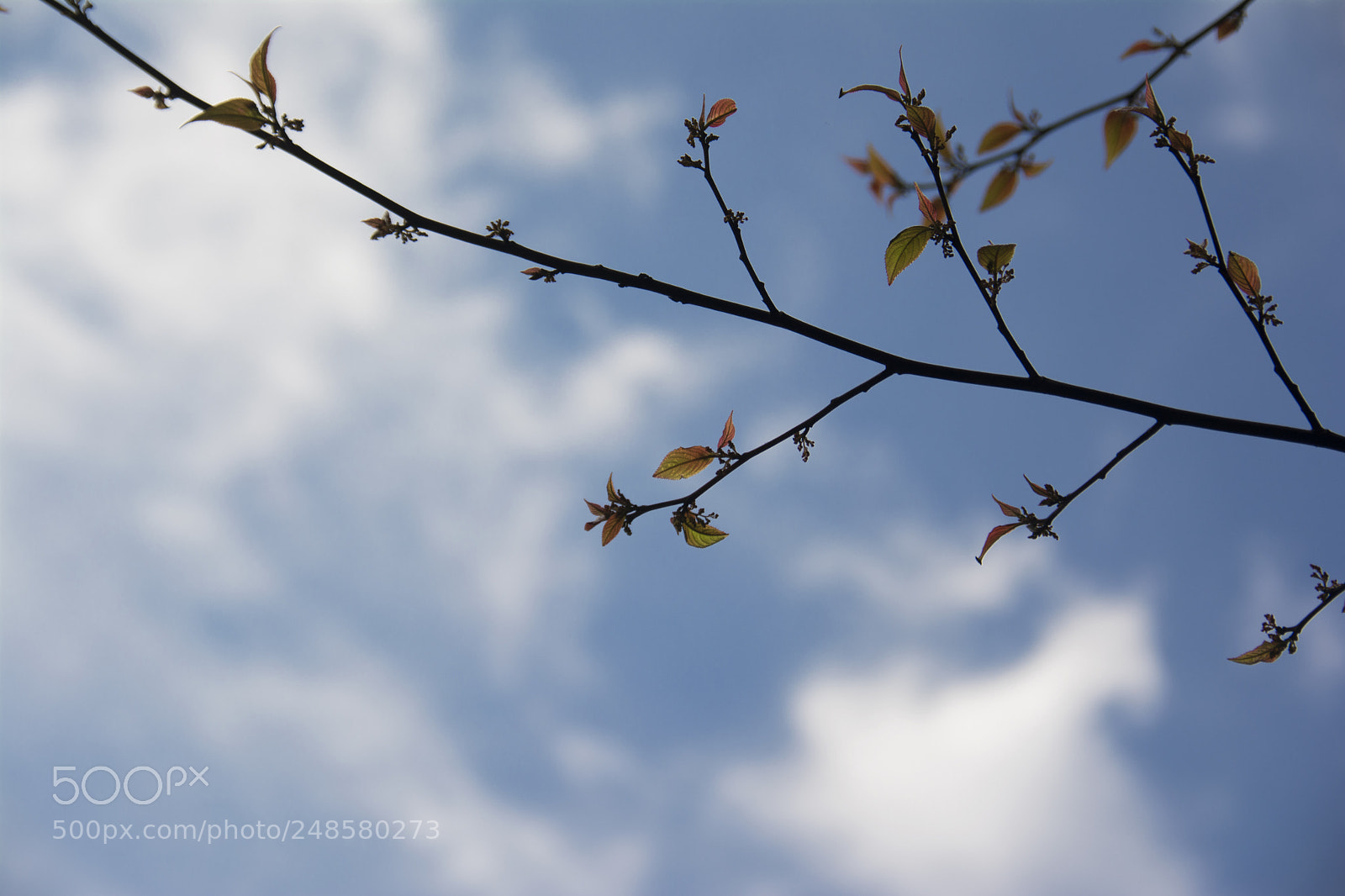 Nikon D7100 sample photo. Untitled photography