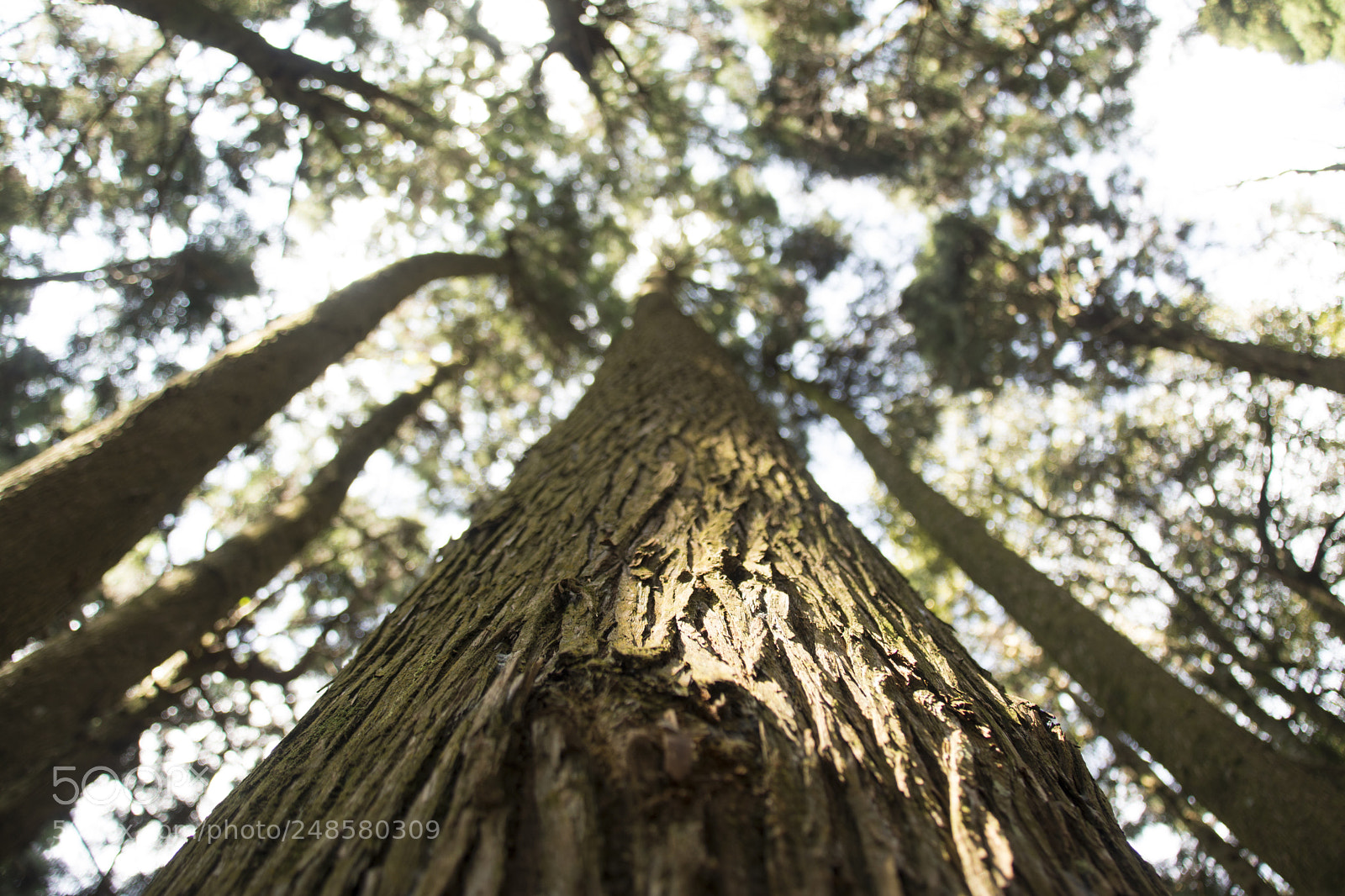 Nikon D7100 sample photo. Untitled photography