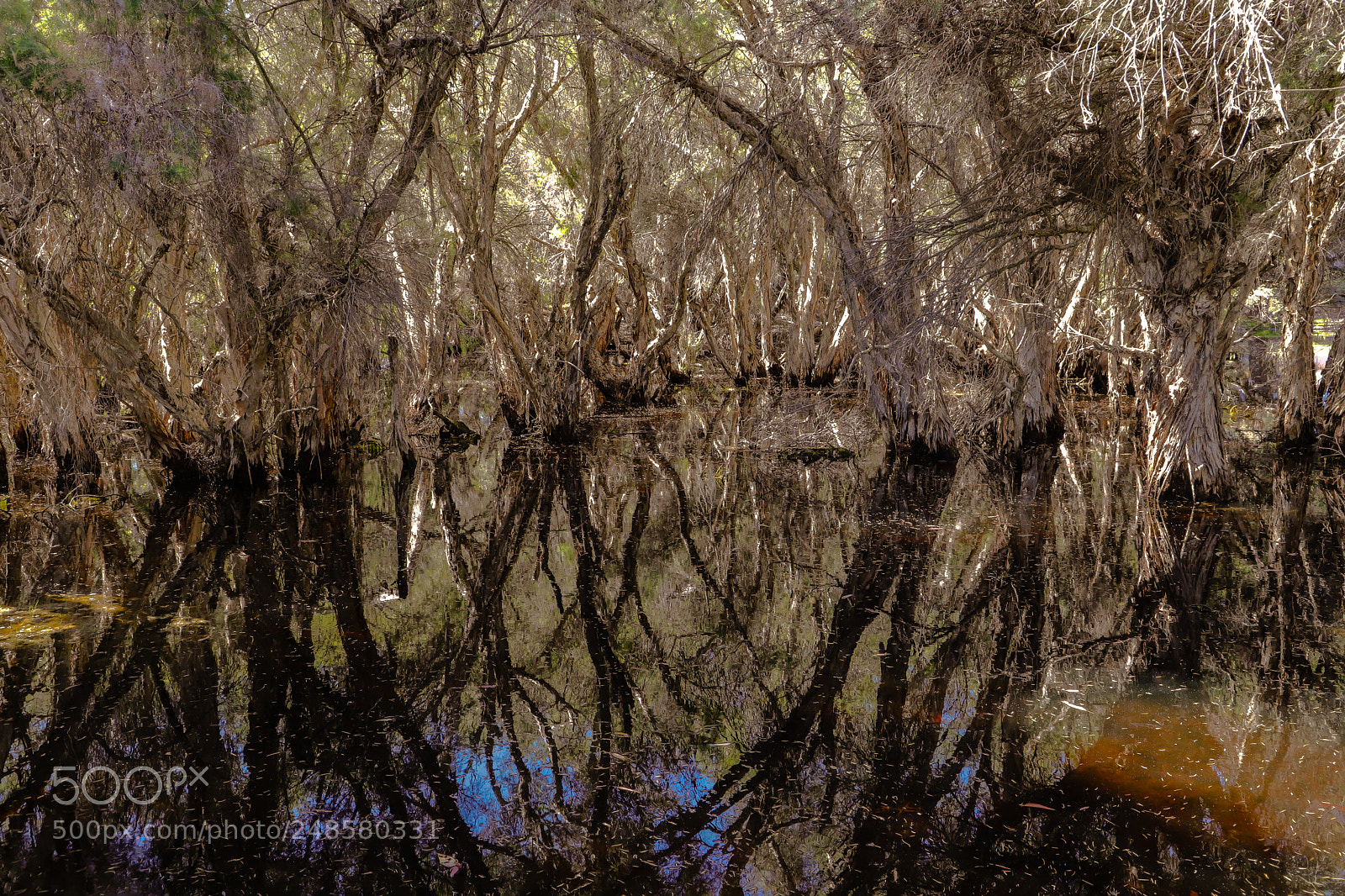 Canon EOS 6D Mark II sample photo. Australia - perth photography