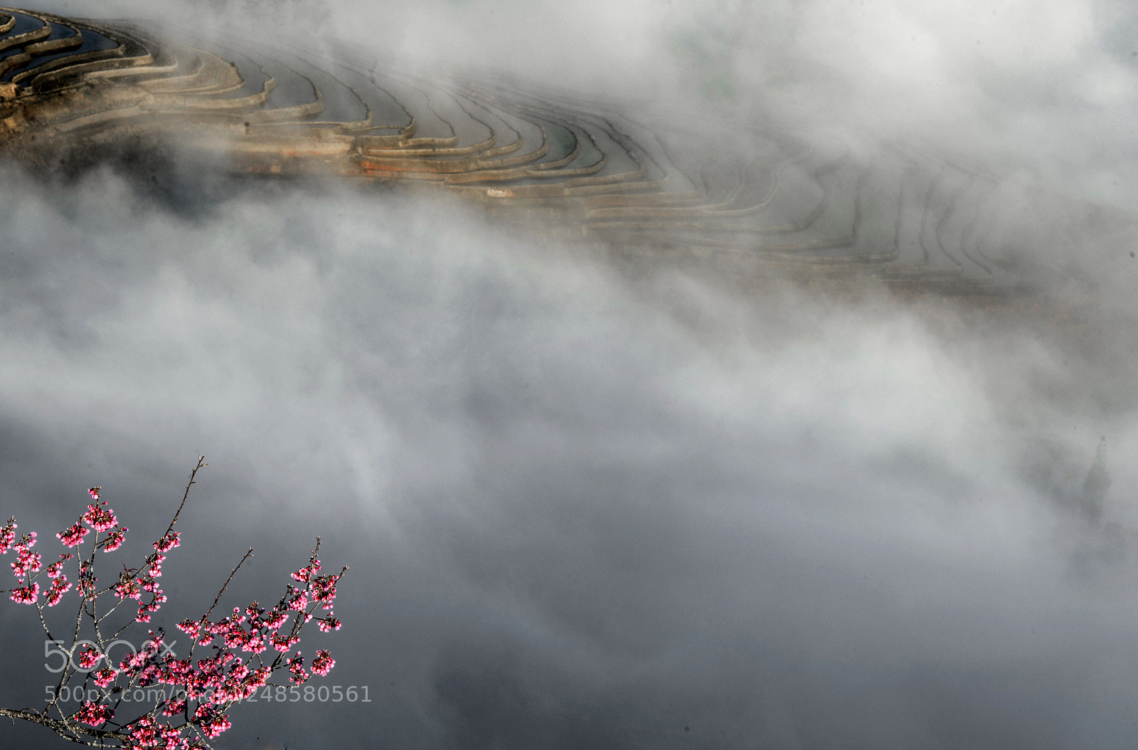 Nikon D800 sample photo. Terrace photography