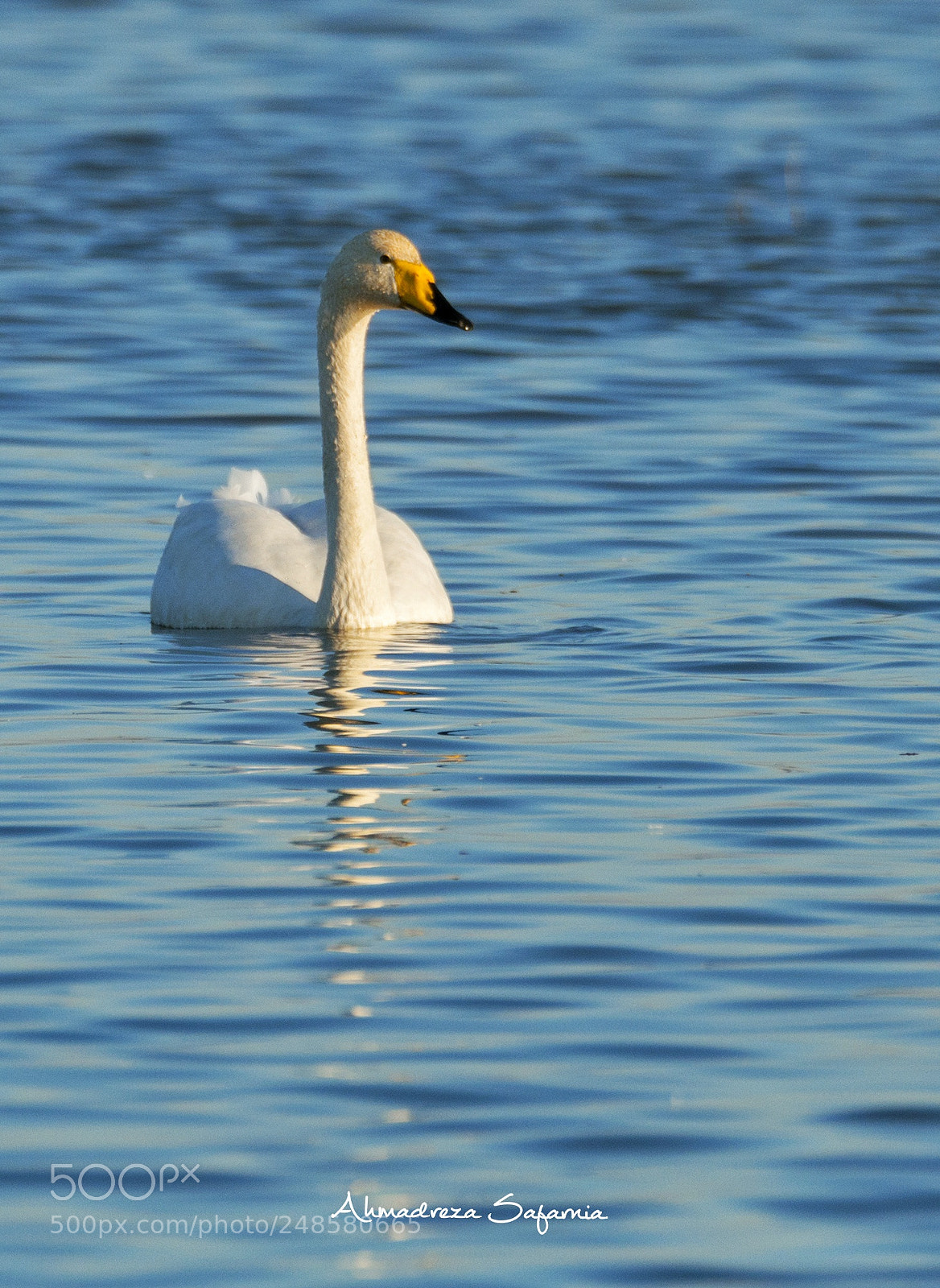 Nikon D90 sample photo. Untitled photography