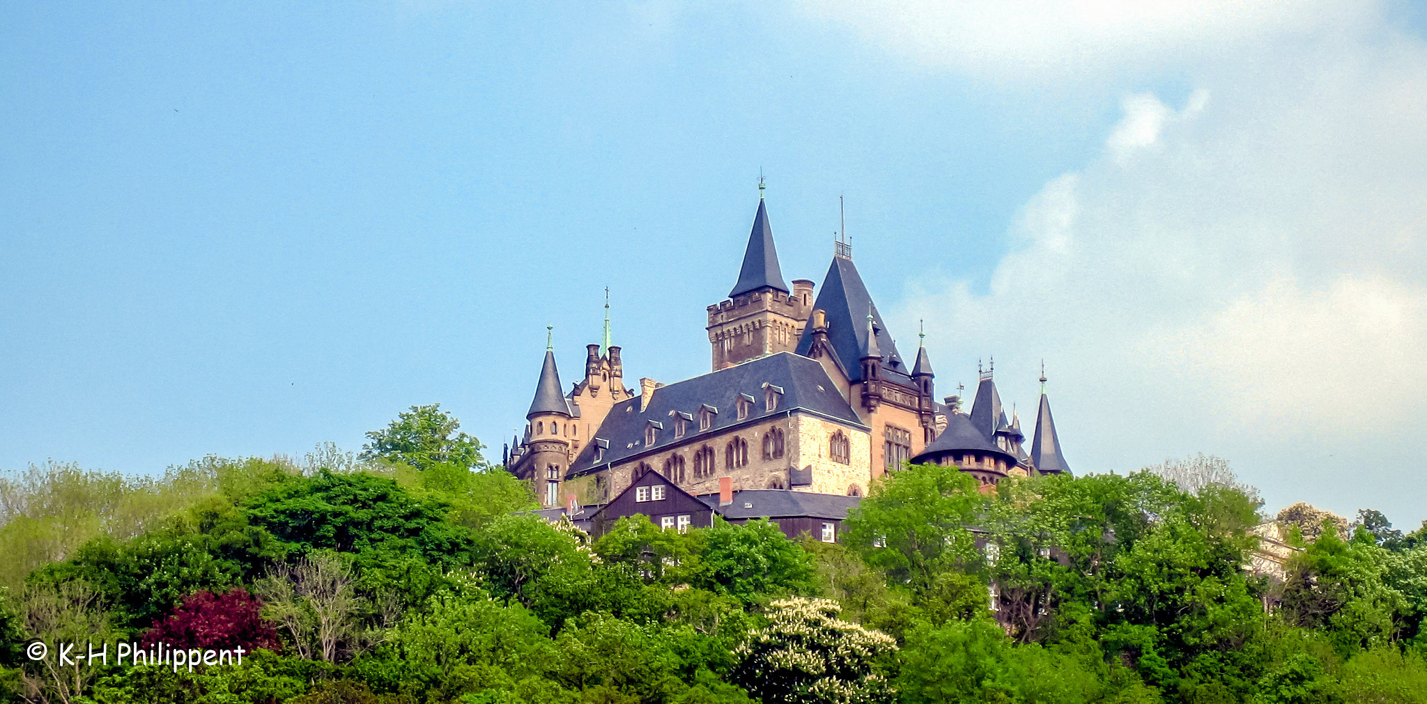 Canon DIGITAL IXUS 50 sample photo. Wernigerode (germany), castle wernigerode / schloss wernigerode photography