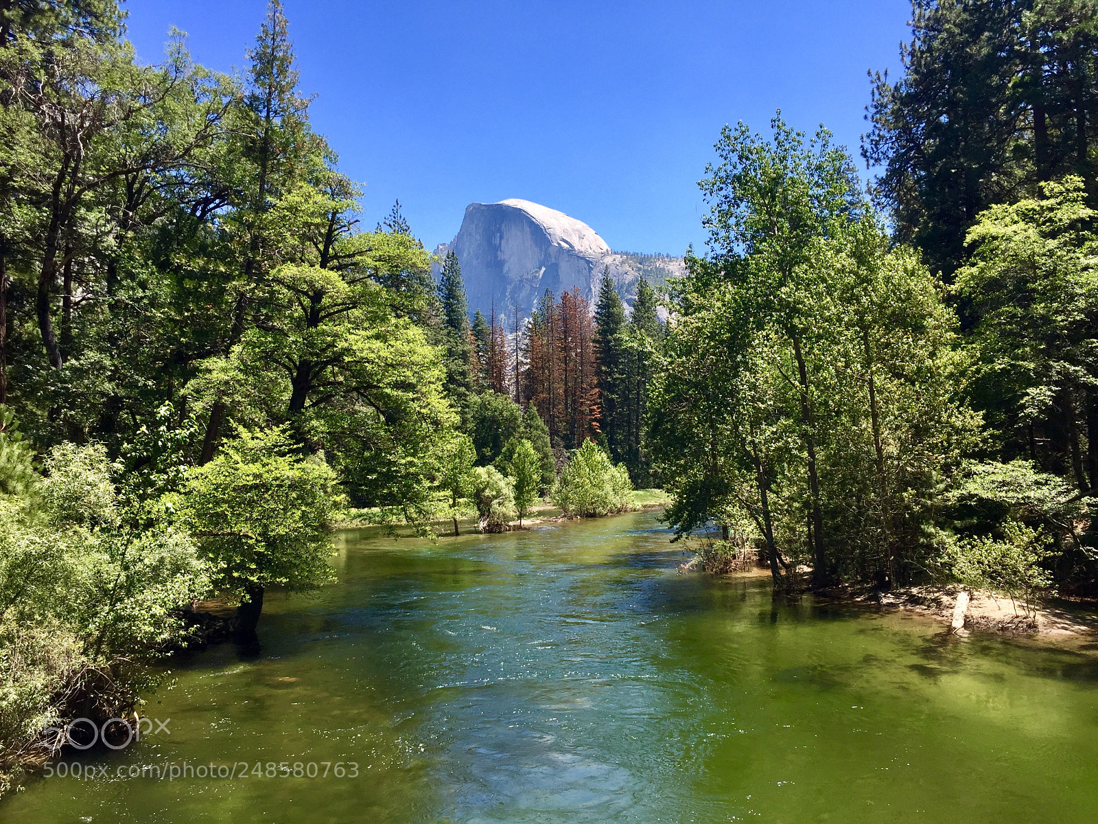 Apple iPhone 6 sample photo. Half dome from centennial photography