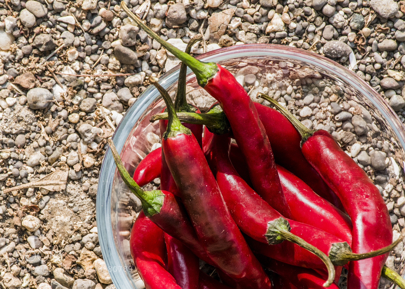Nikon D5300 sample photo. Chillies photography
