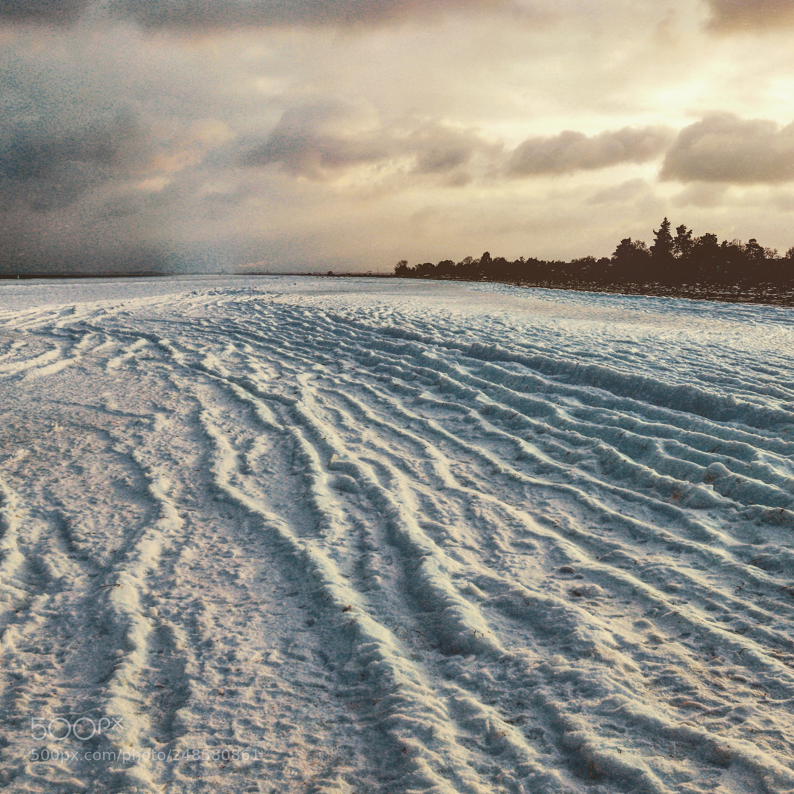 Canon EOS 77D (EOS 9000D / EOS 770D) sample photo. Frozen in motion photography