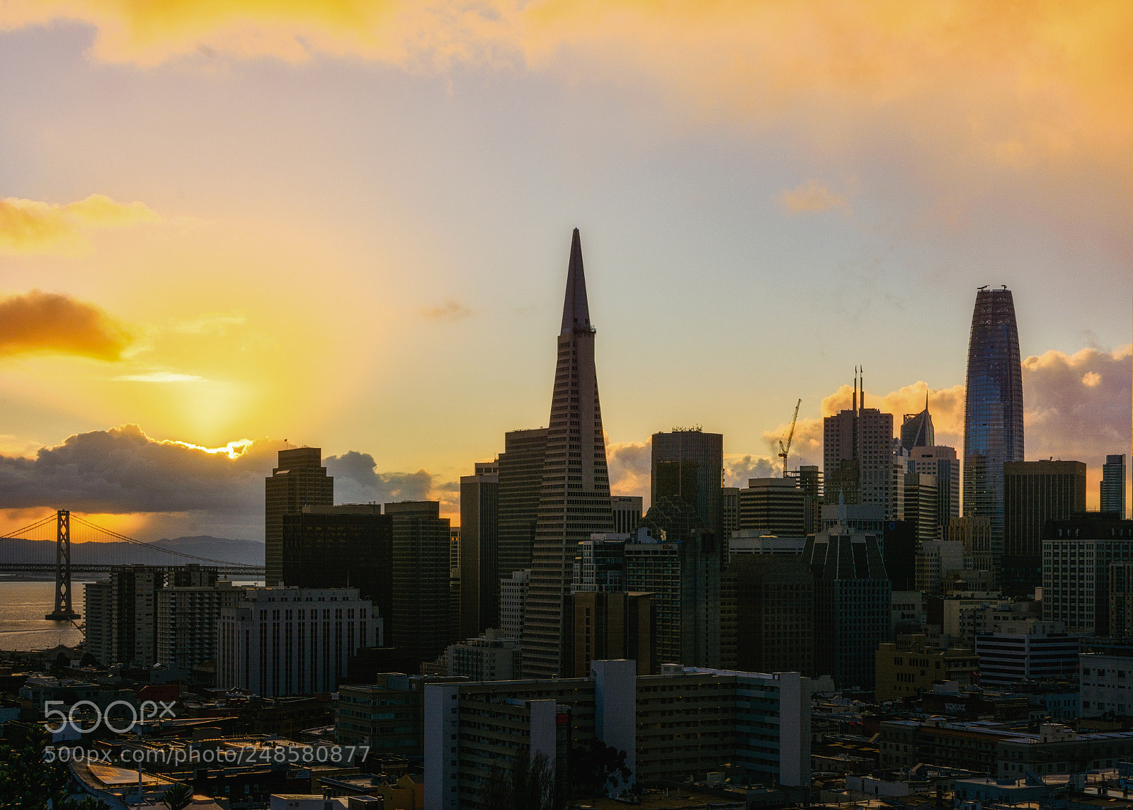 Nikon D7100 sample photo. Sf photography
