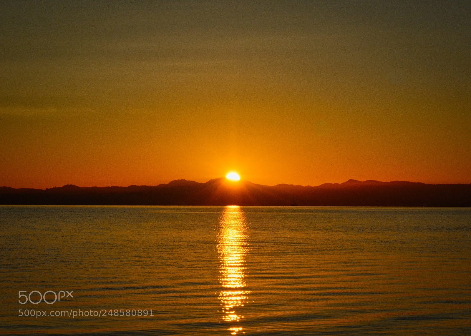 Nikon D7100 sample photo. Sun comes up photography