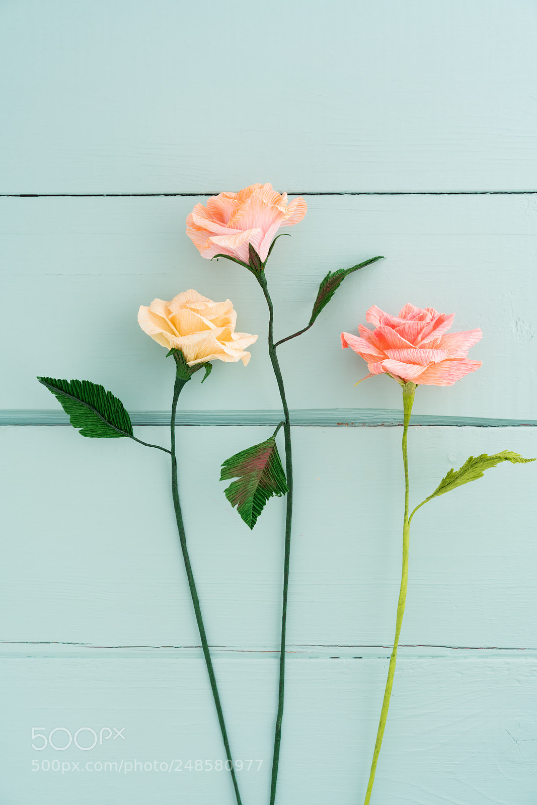 Sony a7R III sample photo. Three paper roses photography