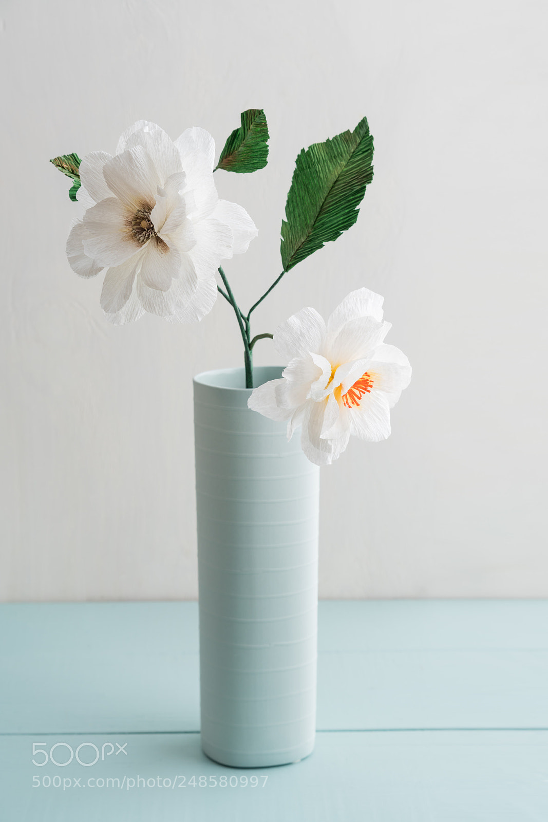 Sony a7R III sample photo. Two paper dahlias photography