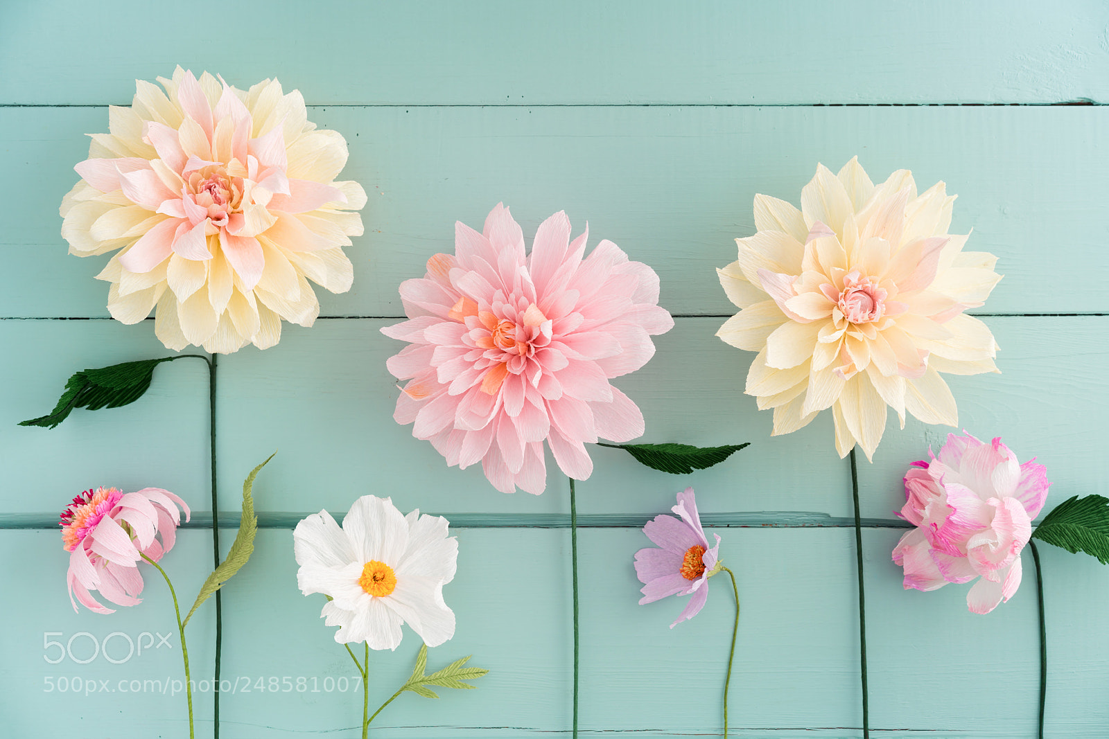 Sony a7R III sample photo. Crepe paper flowers photography