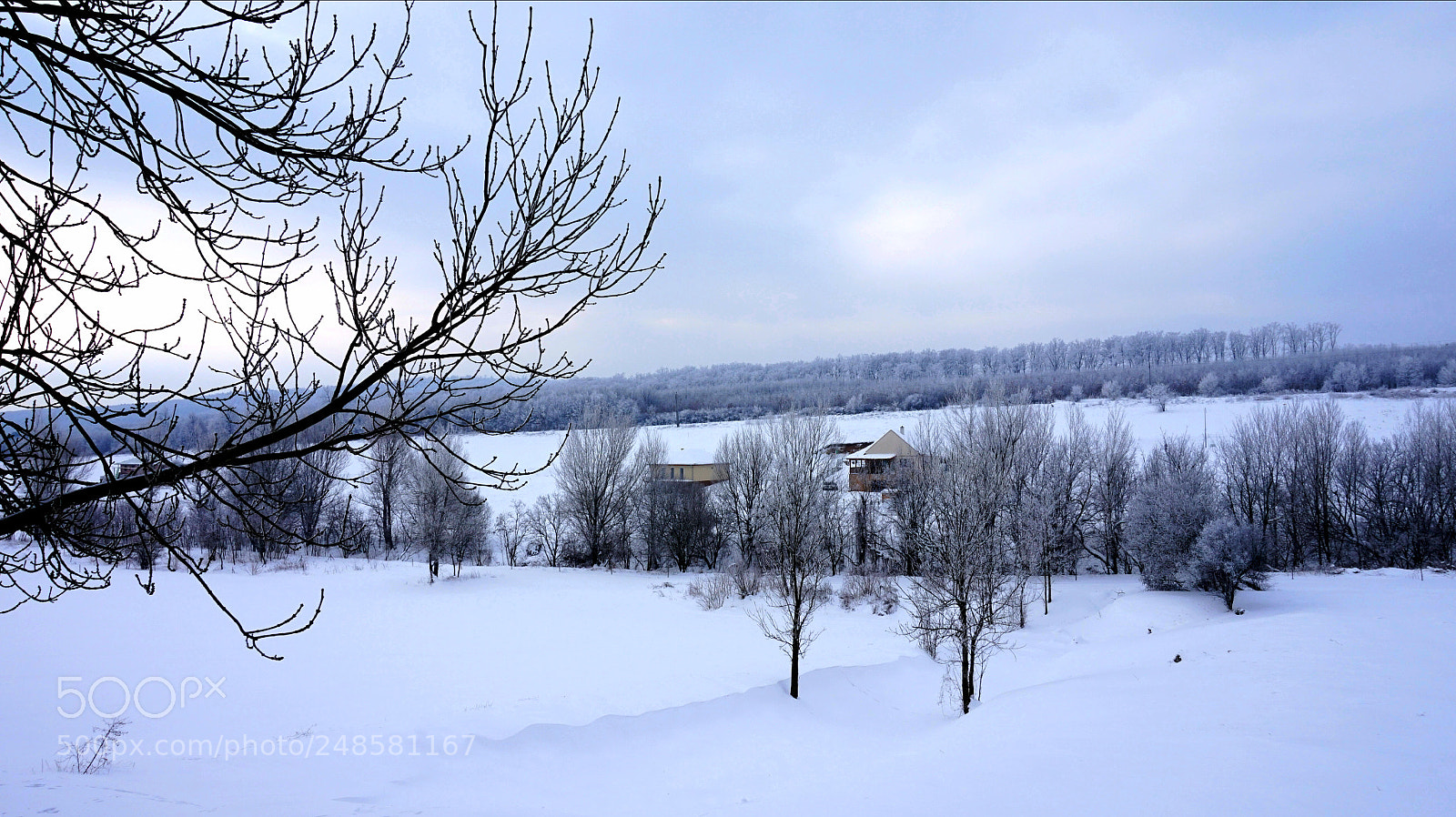 Sony Alpha a5000 (ILCE 5000) sample photo. Real winter in march photography