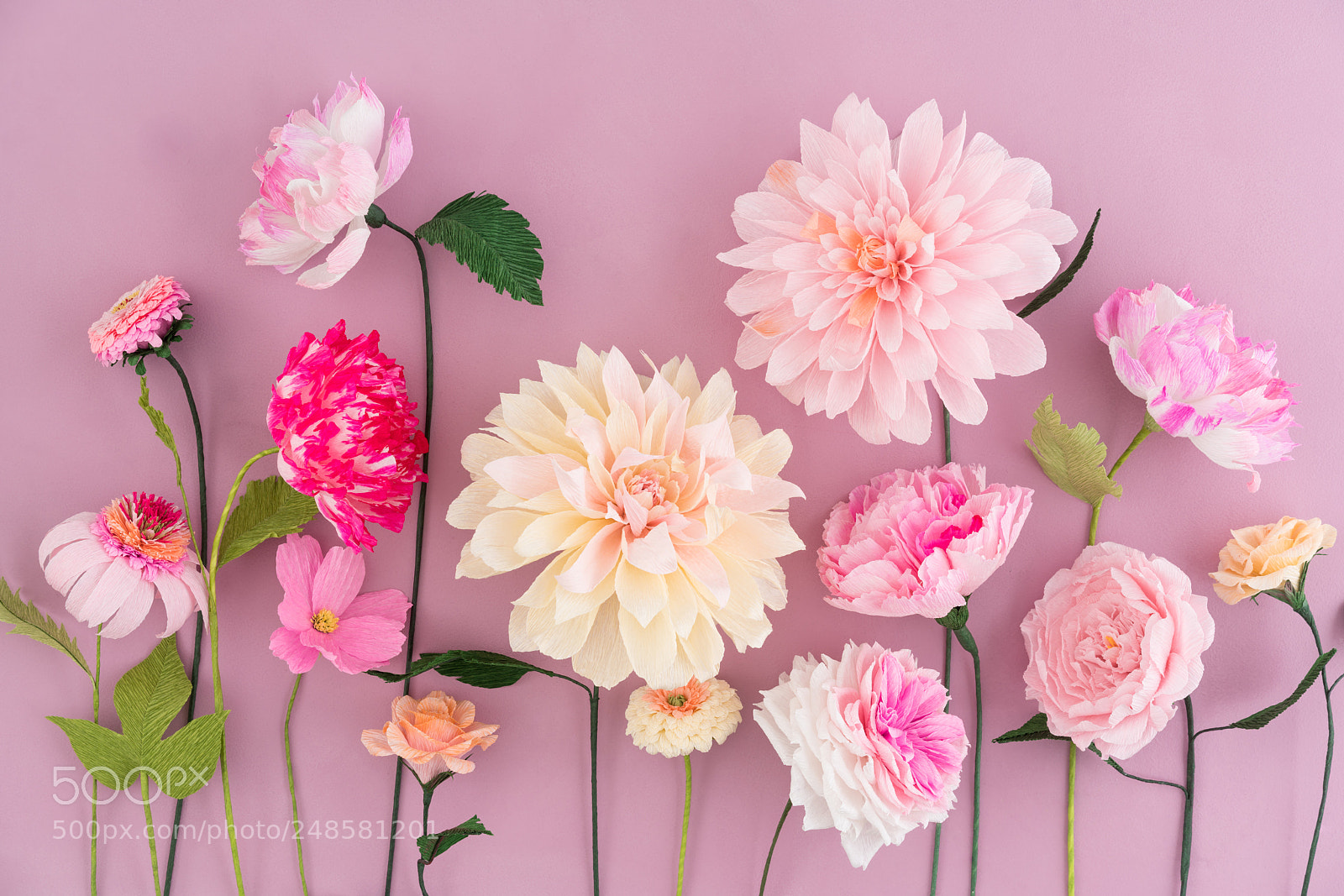 Sony a7R III sample photo. Crepe paper flowers photography