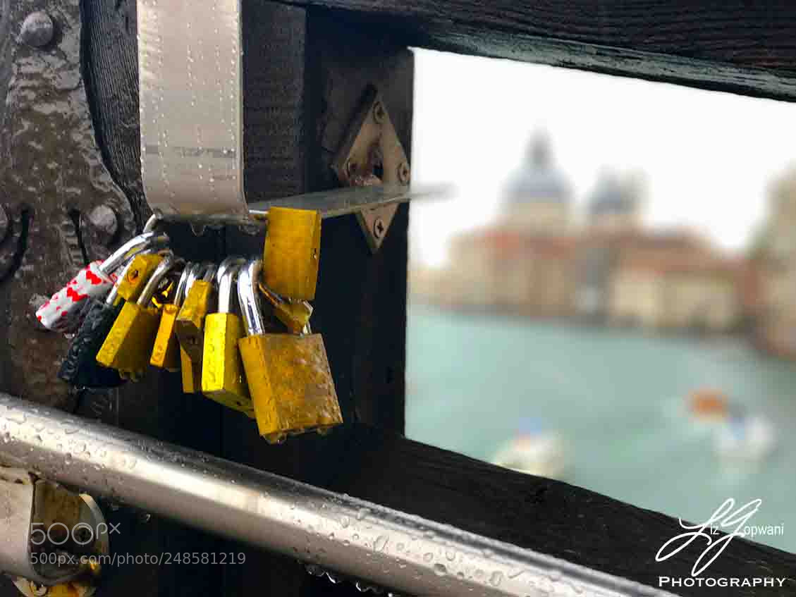 Apple iPhone 7 Plus sample photo. Serrature d'amore ©liz gopwani 2018 photography