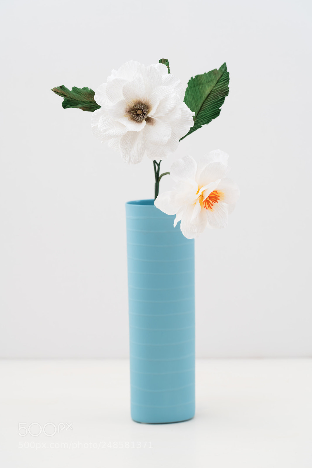 Sony a7R III sample photo. Two paper dahlias photography