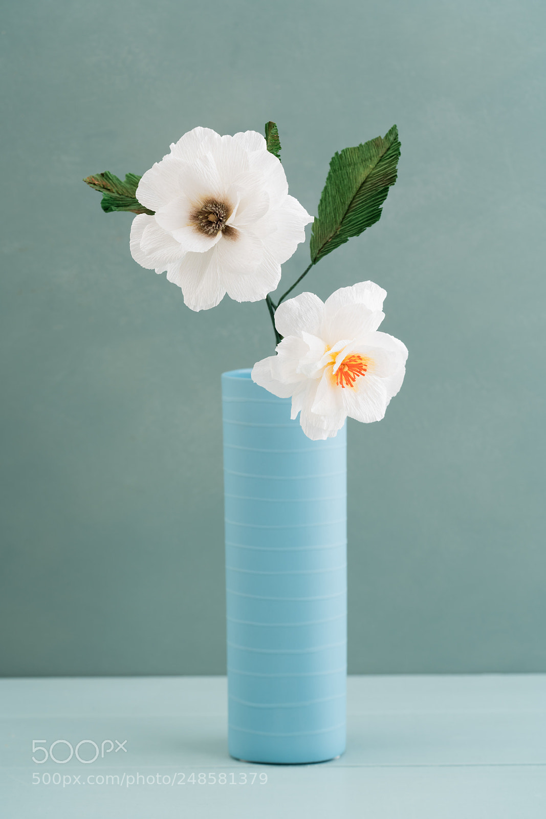 Sony a7R III sample photo. Two paper dahlias photography