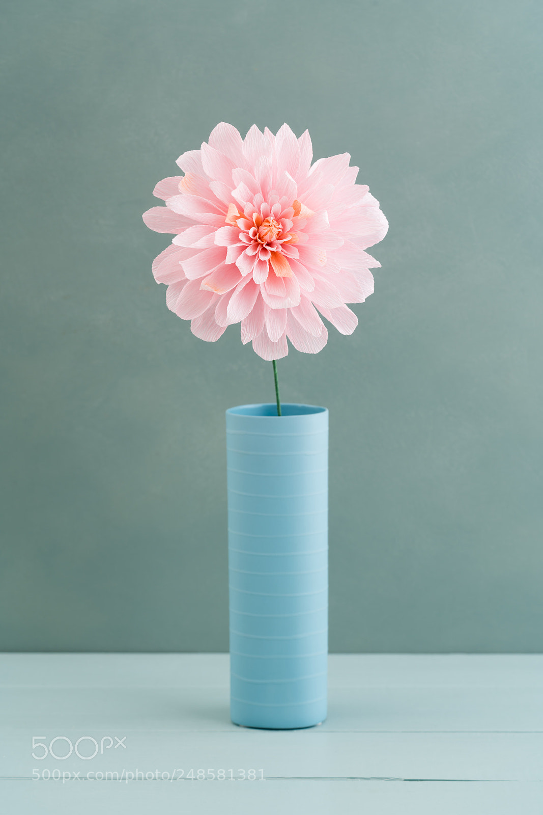 Sony a7R III sample photo. Single paper dahlia photography
