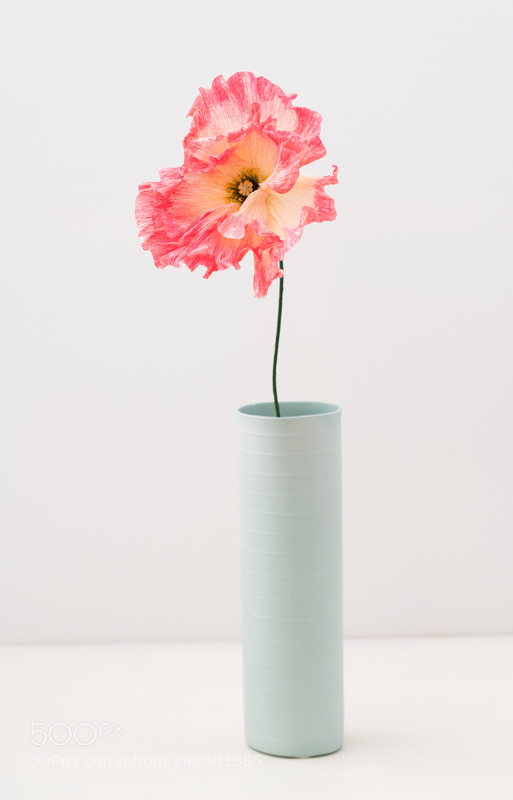 Sony a7R III sample photo. Single crepe paper poppy photography