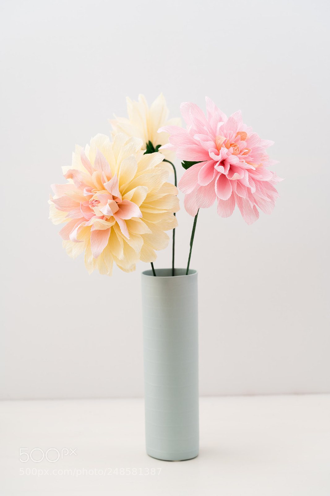 Sony a7R III sample photo. Three paper dahlias photography