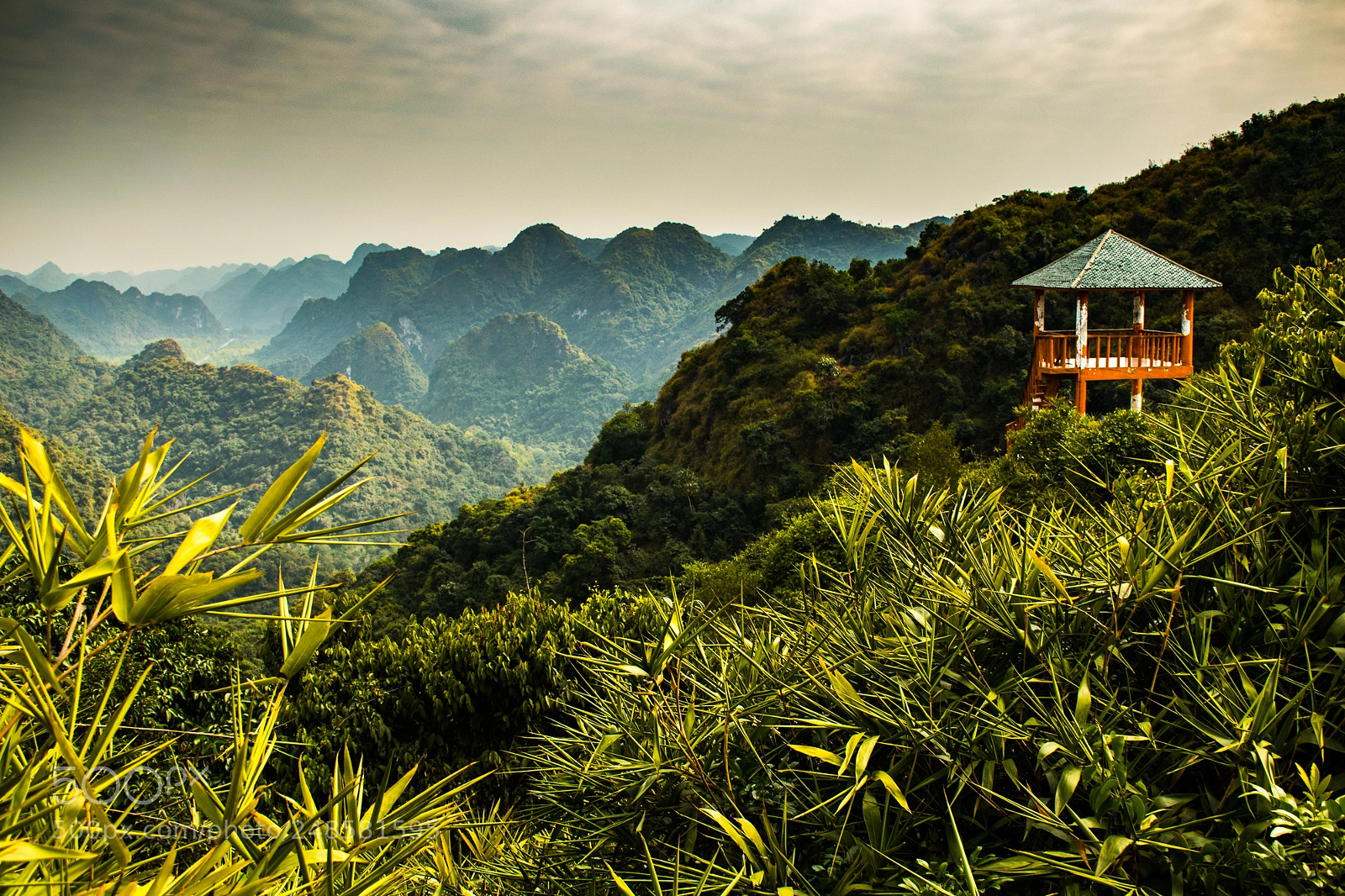 Nikon D5600 sample photo. Cat ba national park photography