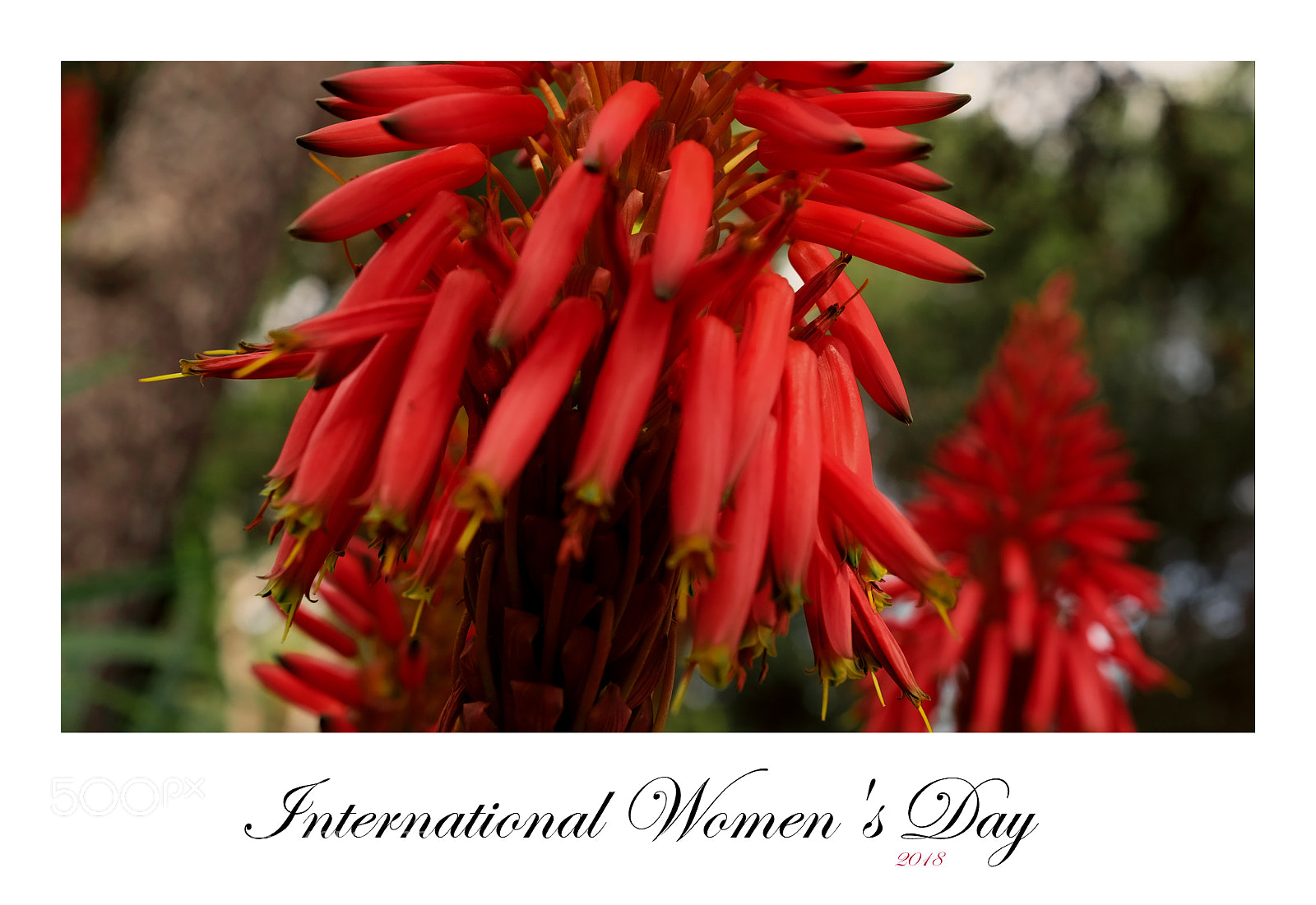 Fujifilm X-T1 sample photo. International women's day photography
