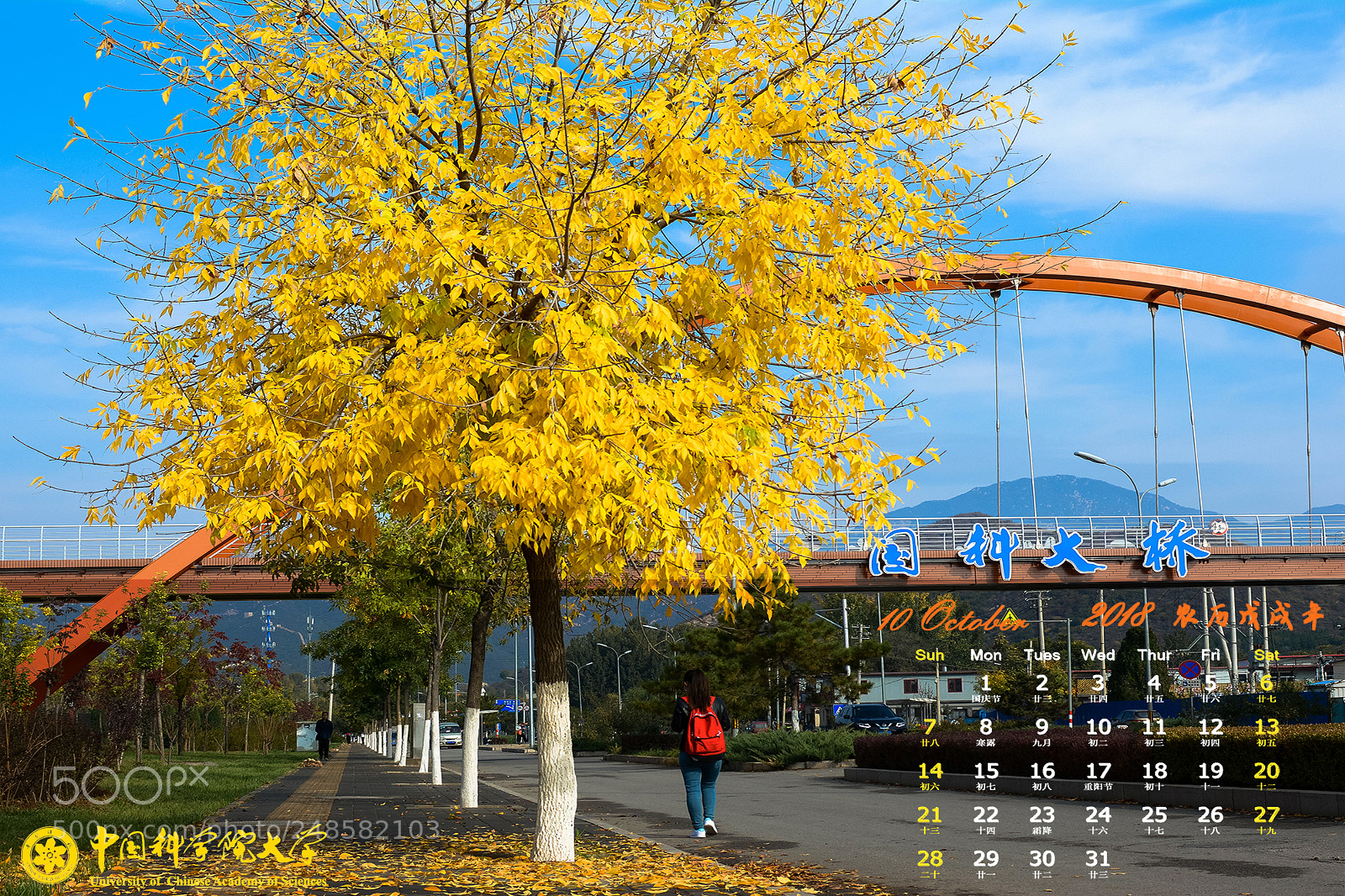 Nikon D7100 sample photo. 月 photography