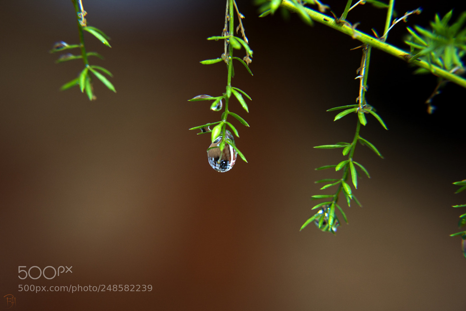 Nikon D7100 sample photo. Nature photography