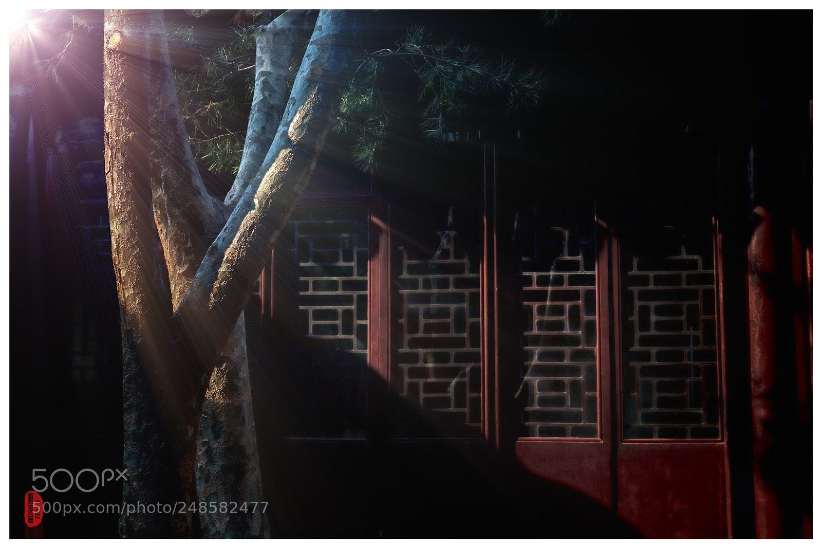 Canon EOS 5DS R sample photo. Untitled photography