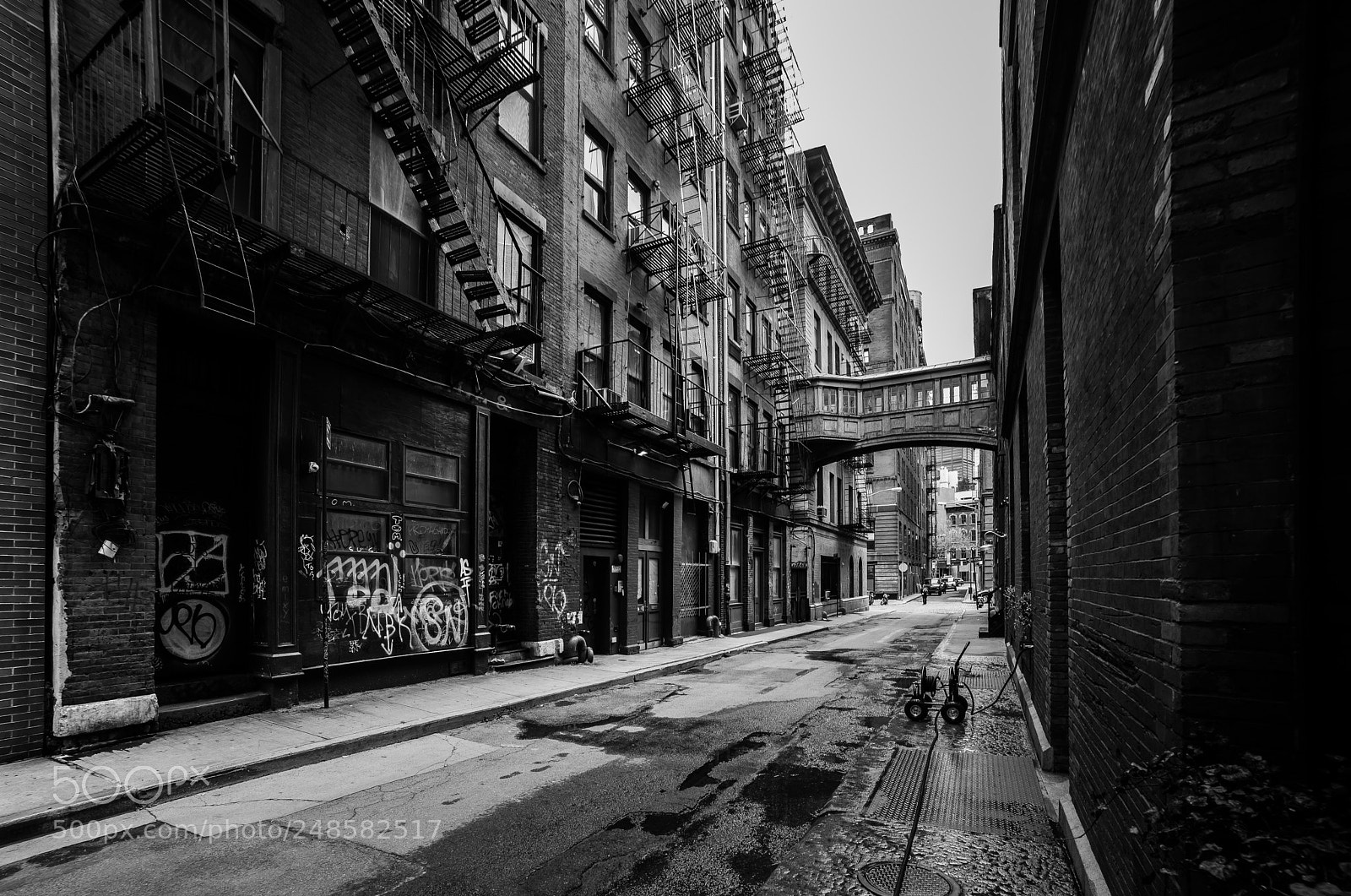 Nikon D810 sample photo. Untitled photography