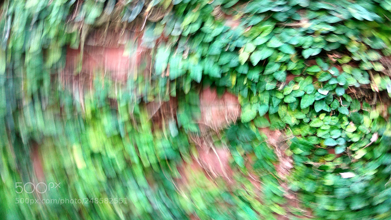 Xiaomi Redmi Note3 sample photo. Untitled photography