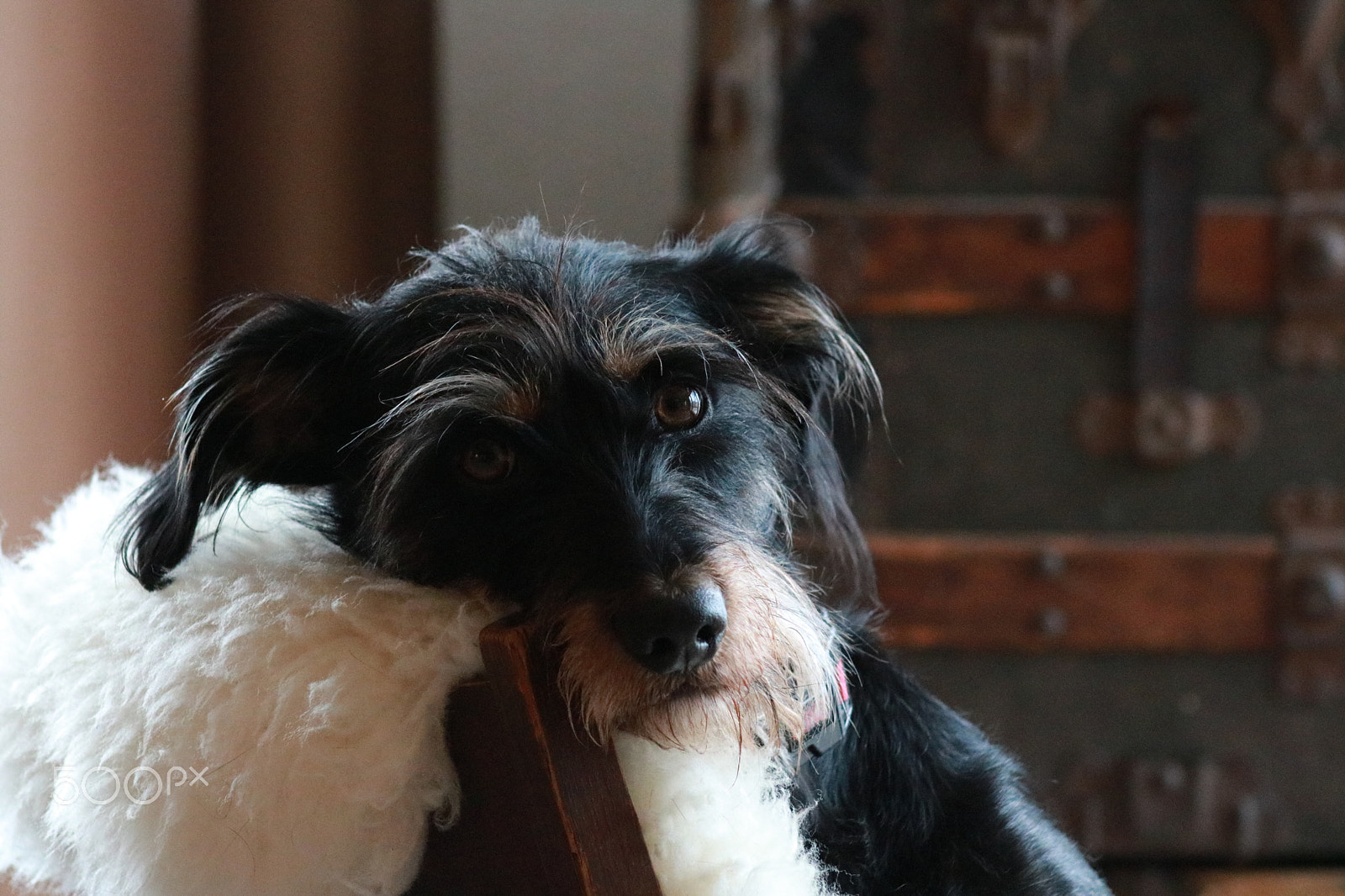Canon EF 75-300mm f/4-5.6 sample photo. Img photography
