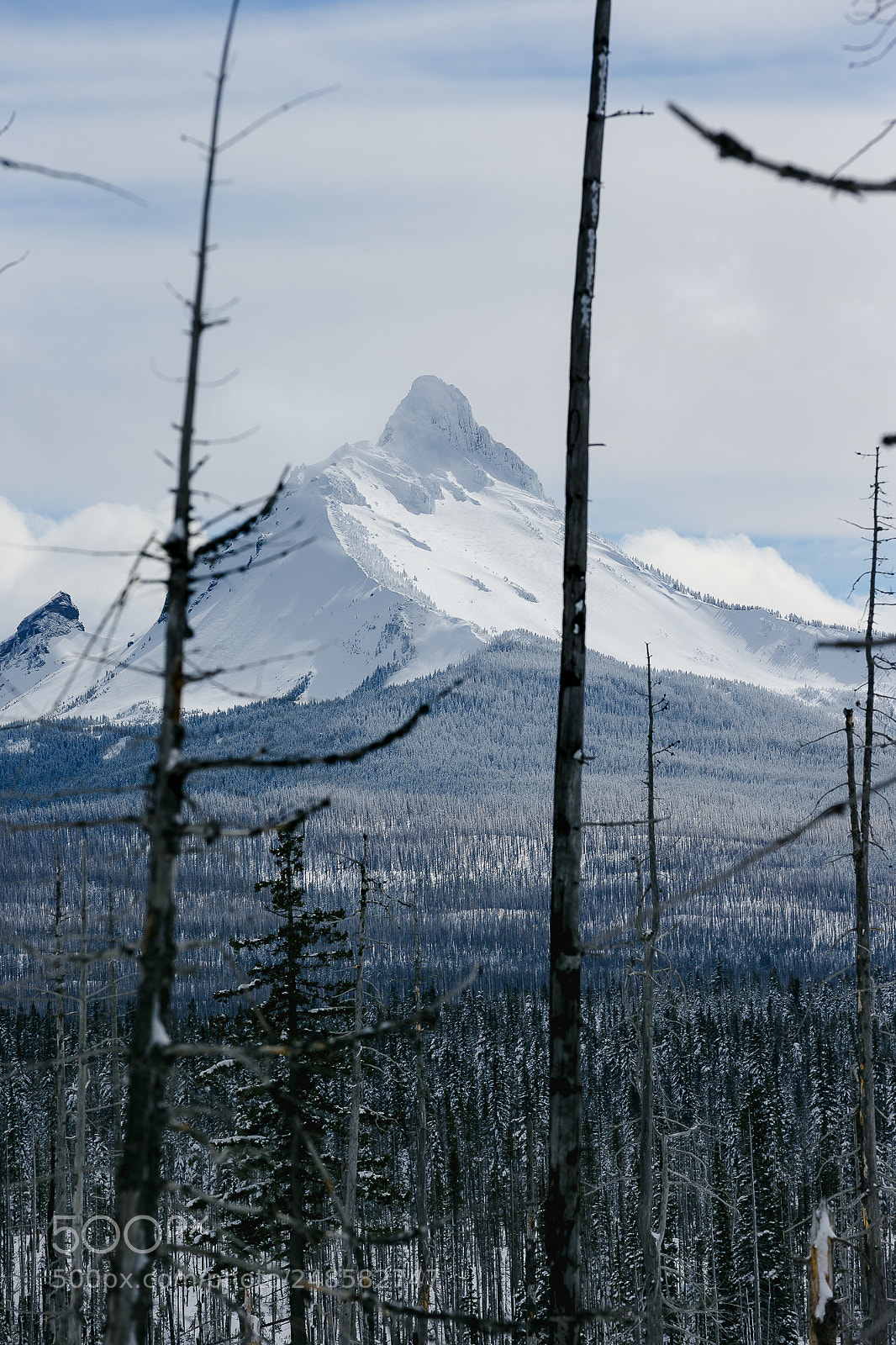 Canon EOS-1D X sample photo. Mt. washington above the photography