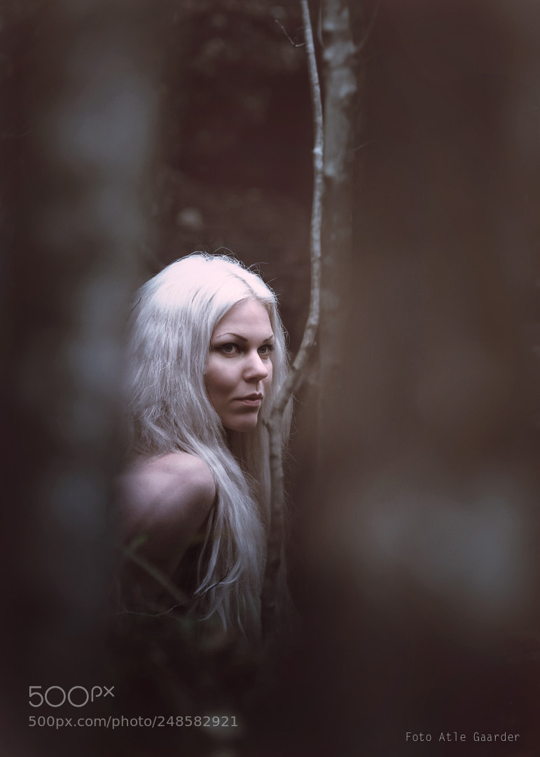 Nikon D800 sample photo. Portrait in the woods.. photography