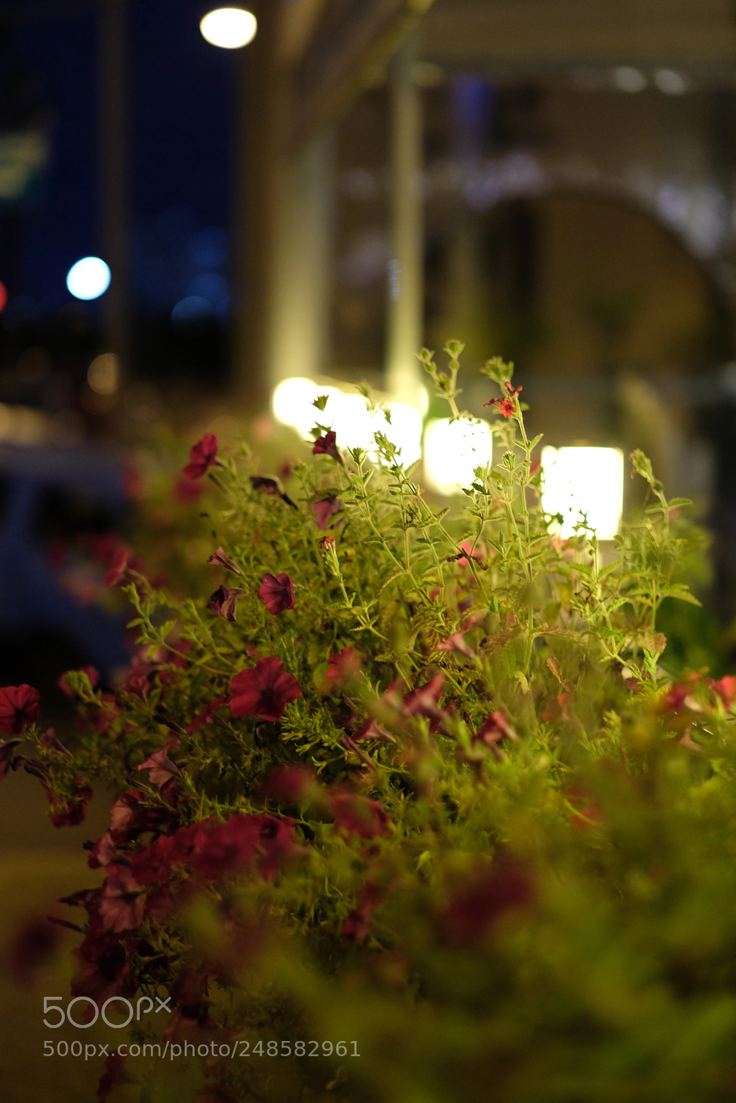 Fujifilm X-T20 sample photo. Dscf photography
