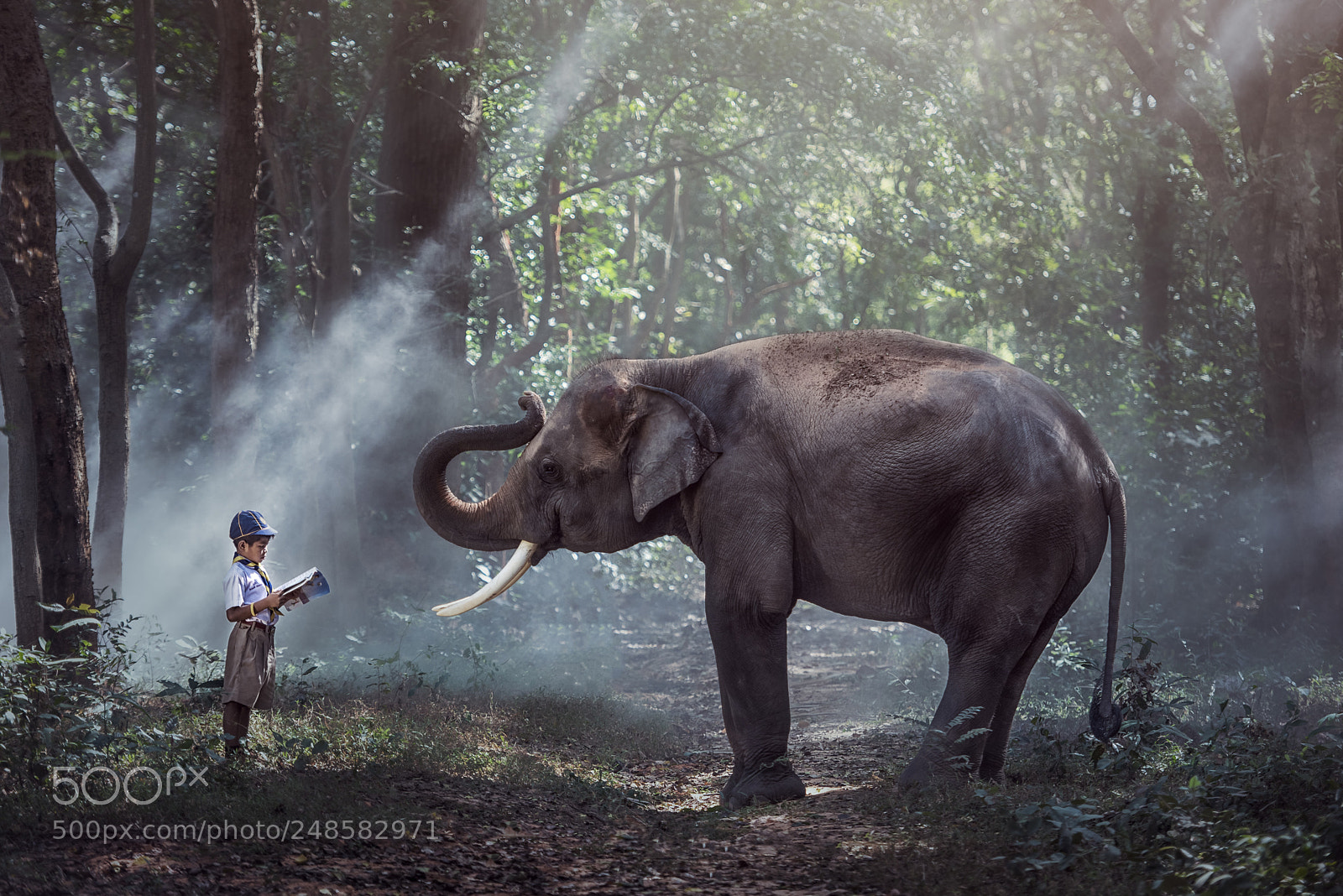 Nikon D810 sample photo. Friend in the jungle photography