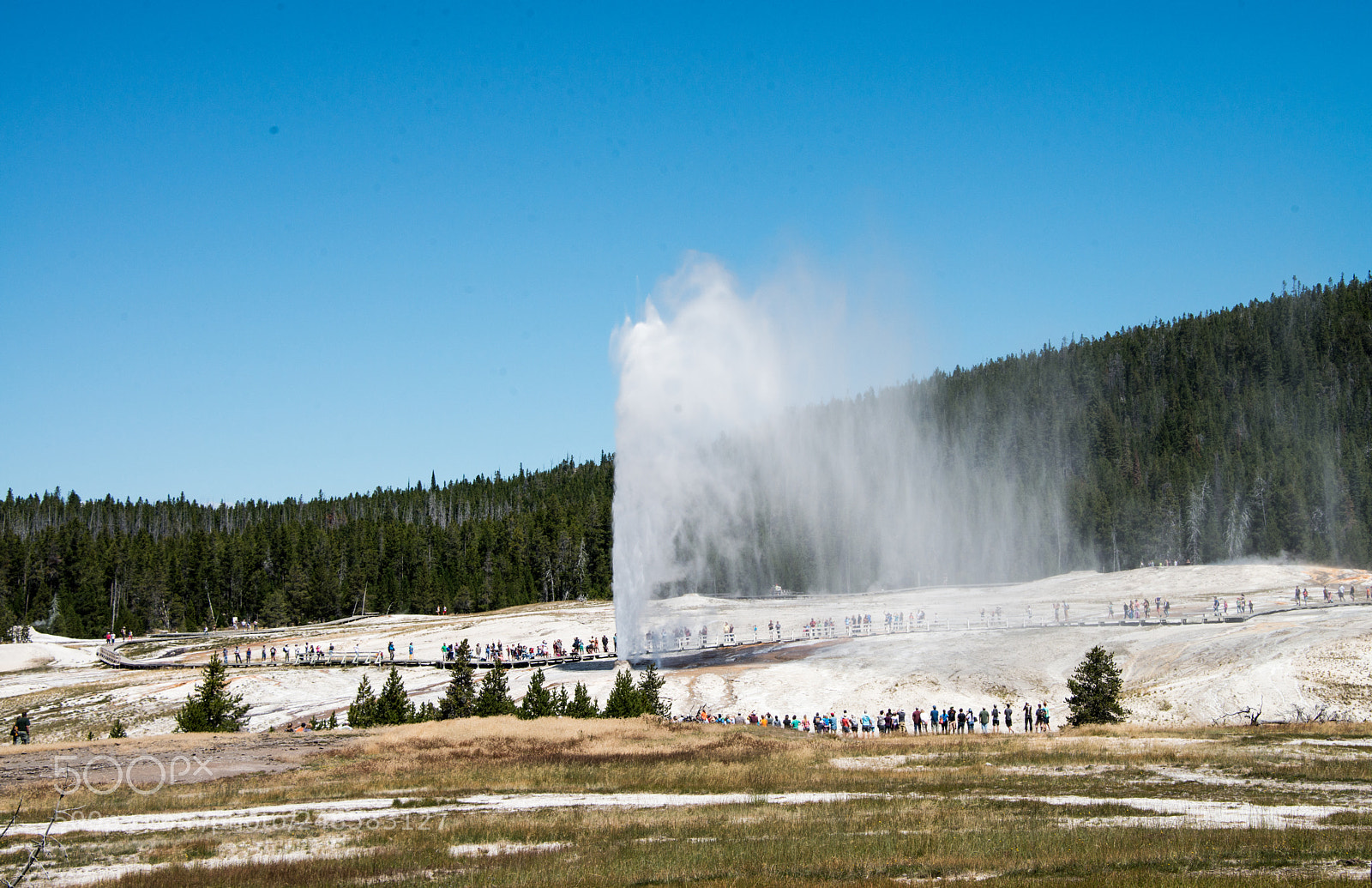 Nikon D800 sample photo. Yellowstone national park photography
