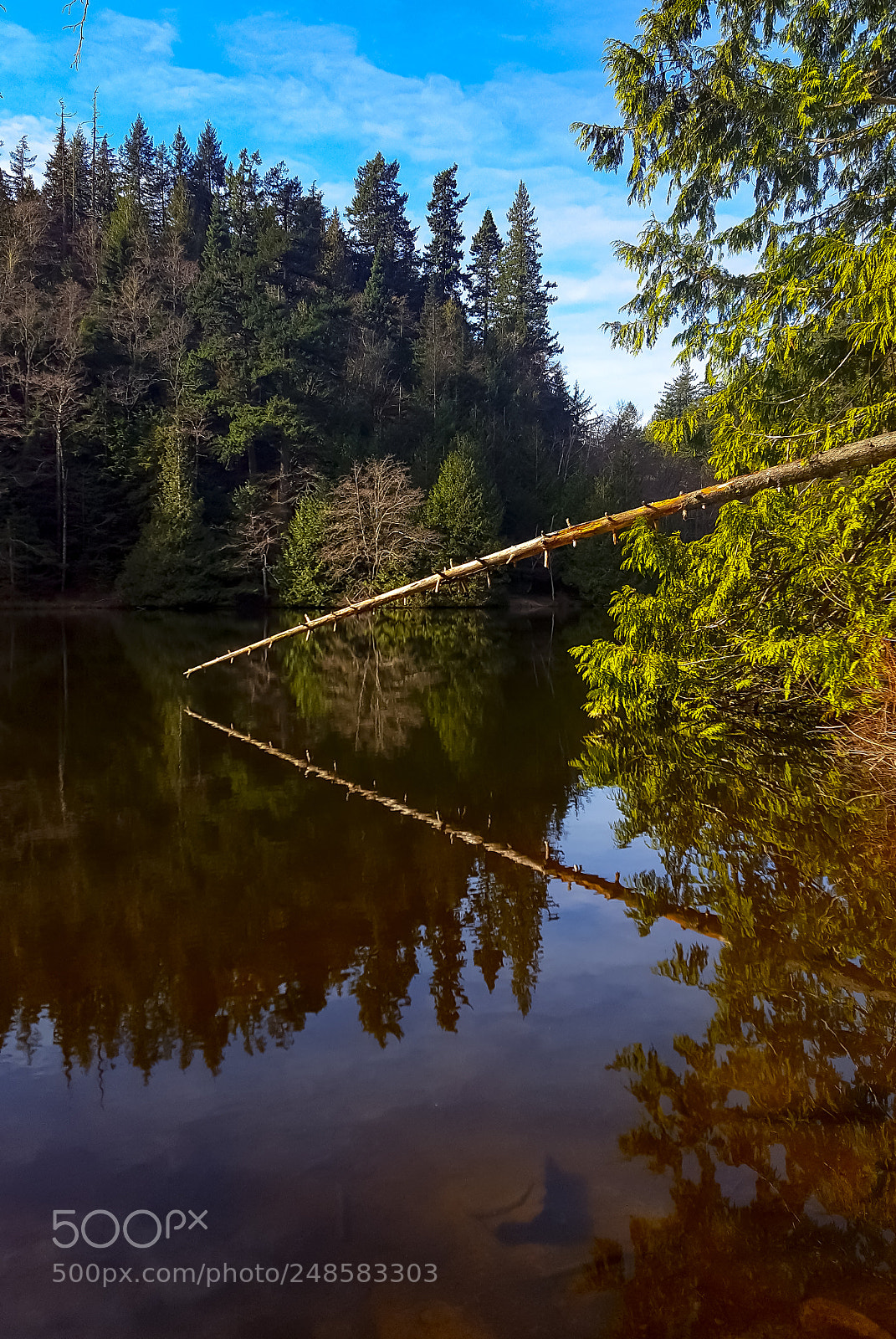 Samsung GALAXY S6 edge sample photo. Lake reflection photography
