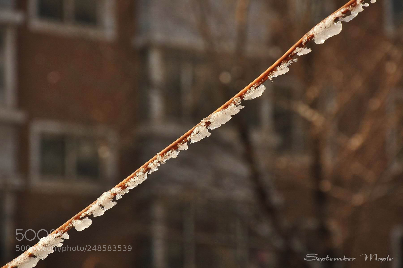 Nikon D90 sample photo. 雪后天晴 photography