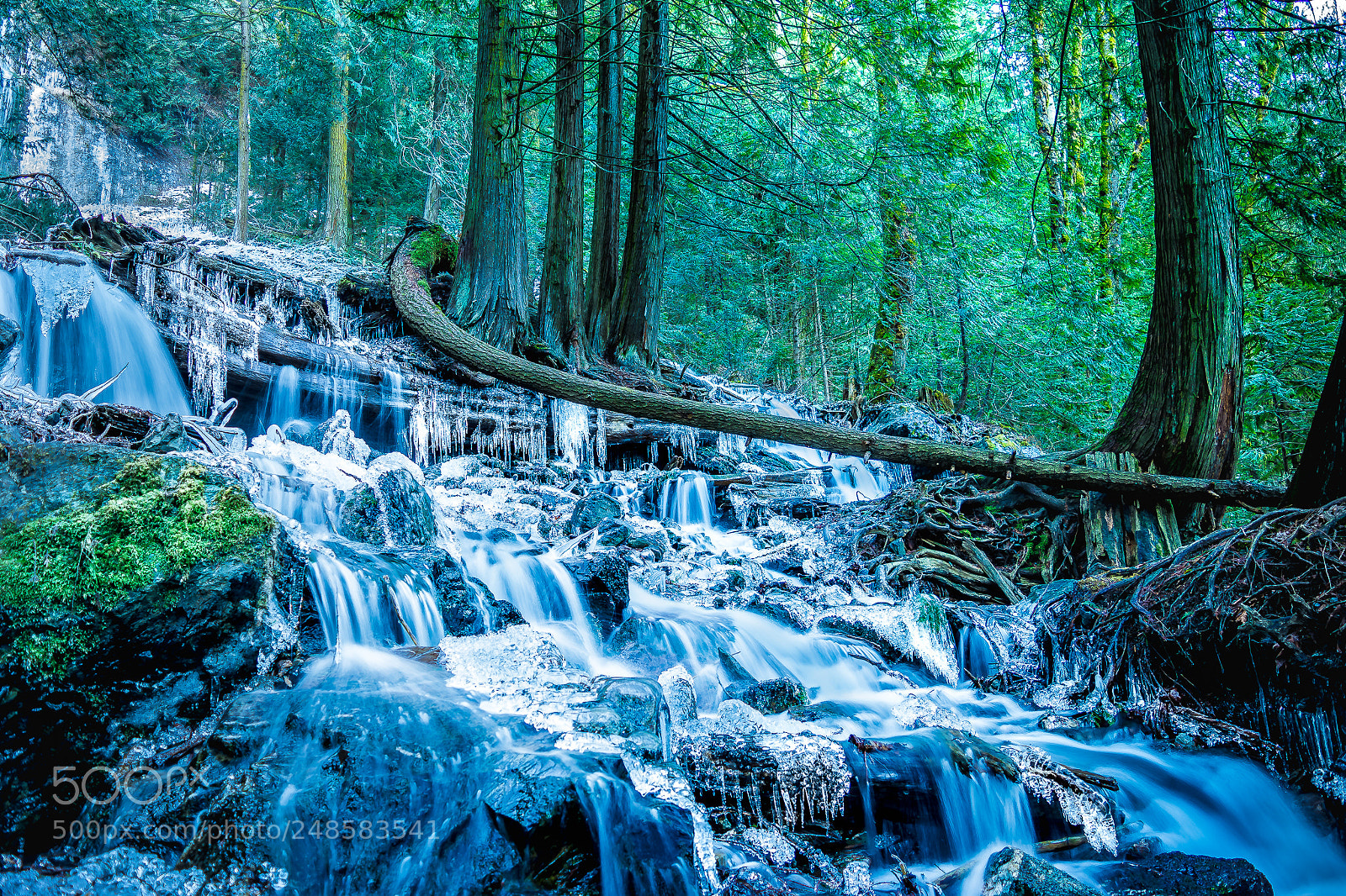 Nikon D5200 sample photo. Frozen in time photography