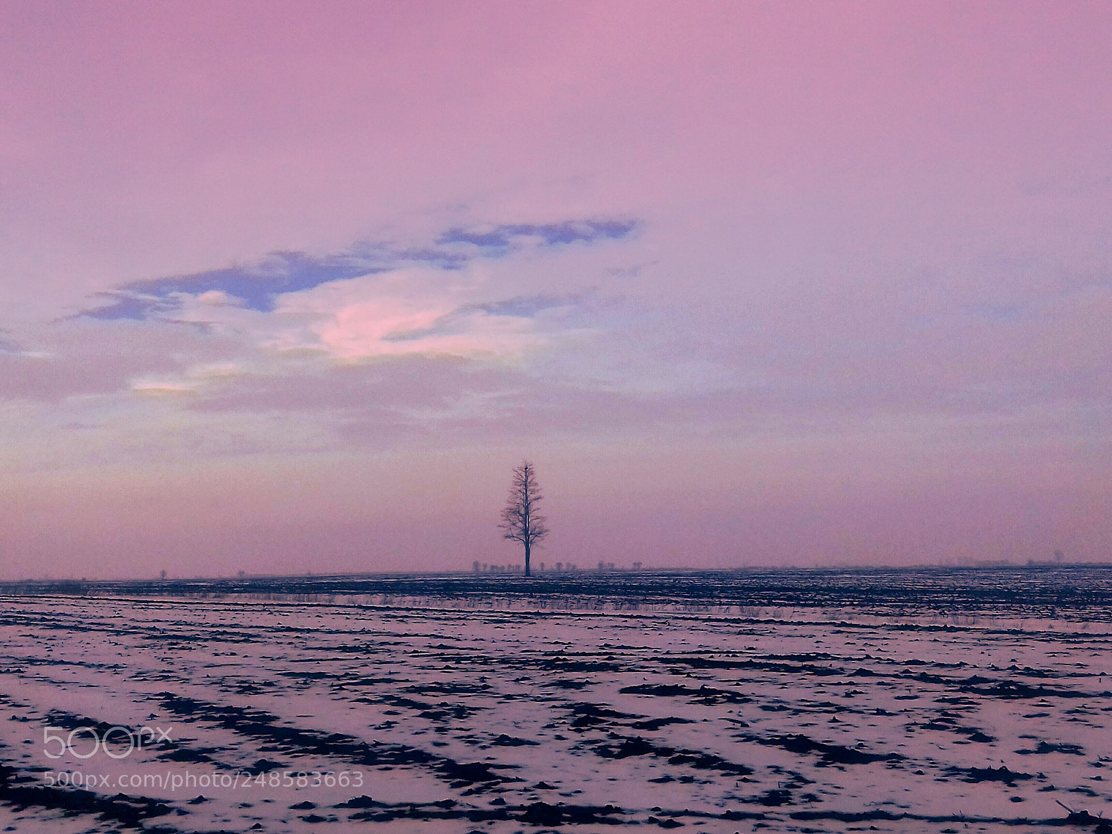 Samsung Galaxy J3(2016) sample photo. Lonely tree... photography