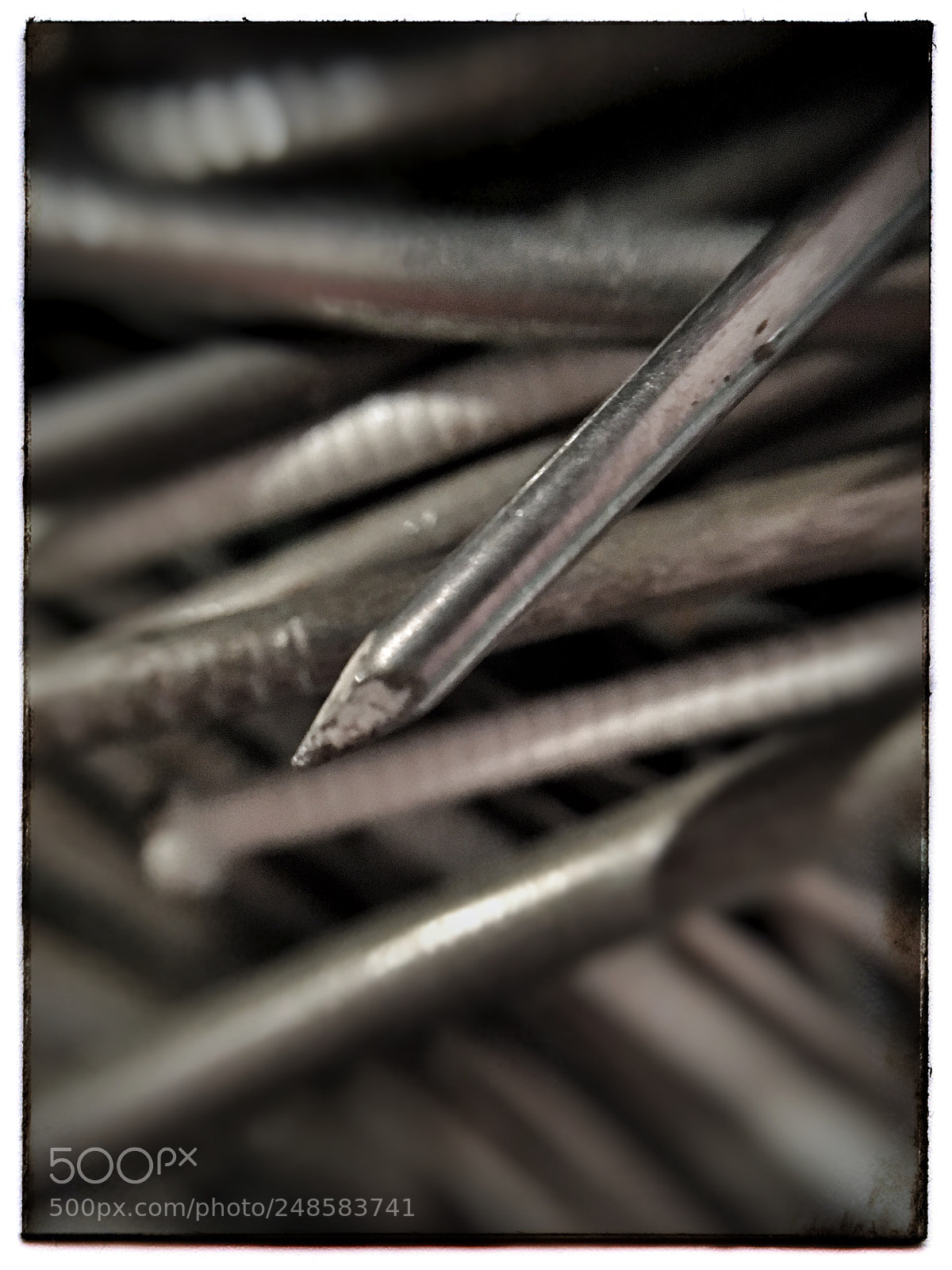 Apple iPhone SE sample photo. Nail amongst nails. photography
