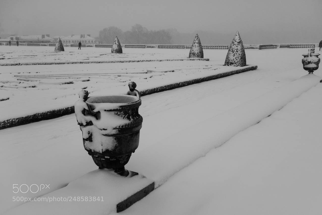 Sony Cyber-shot DSC-RX100 sample photo. Versailles photography